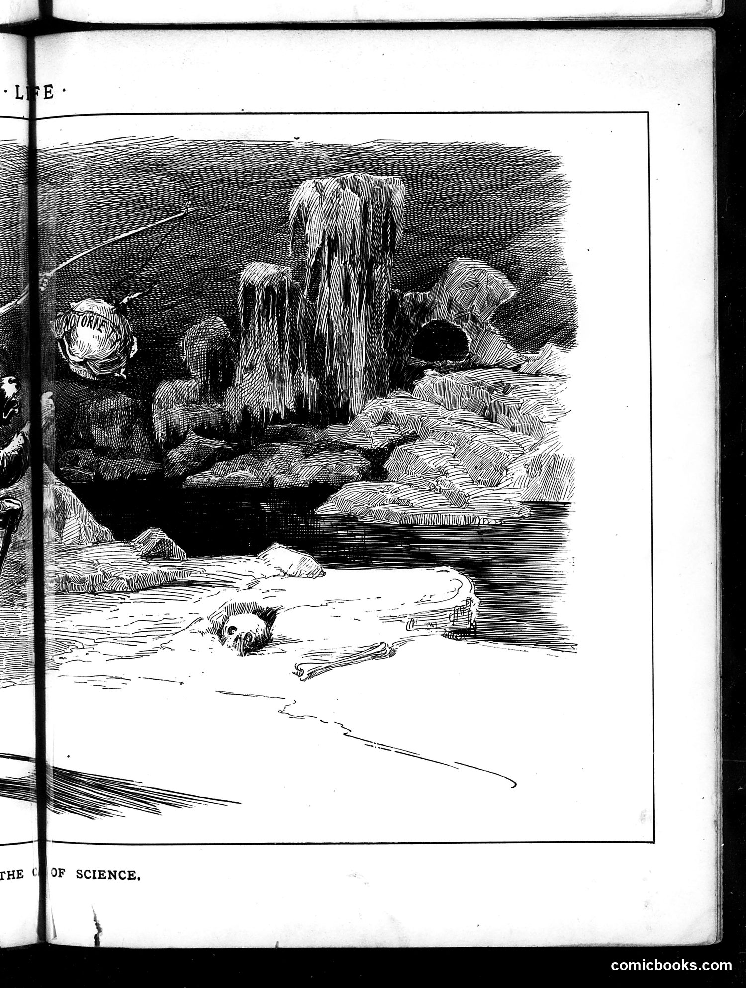 Life — May 1, 1884 — page 9 of 16