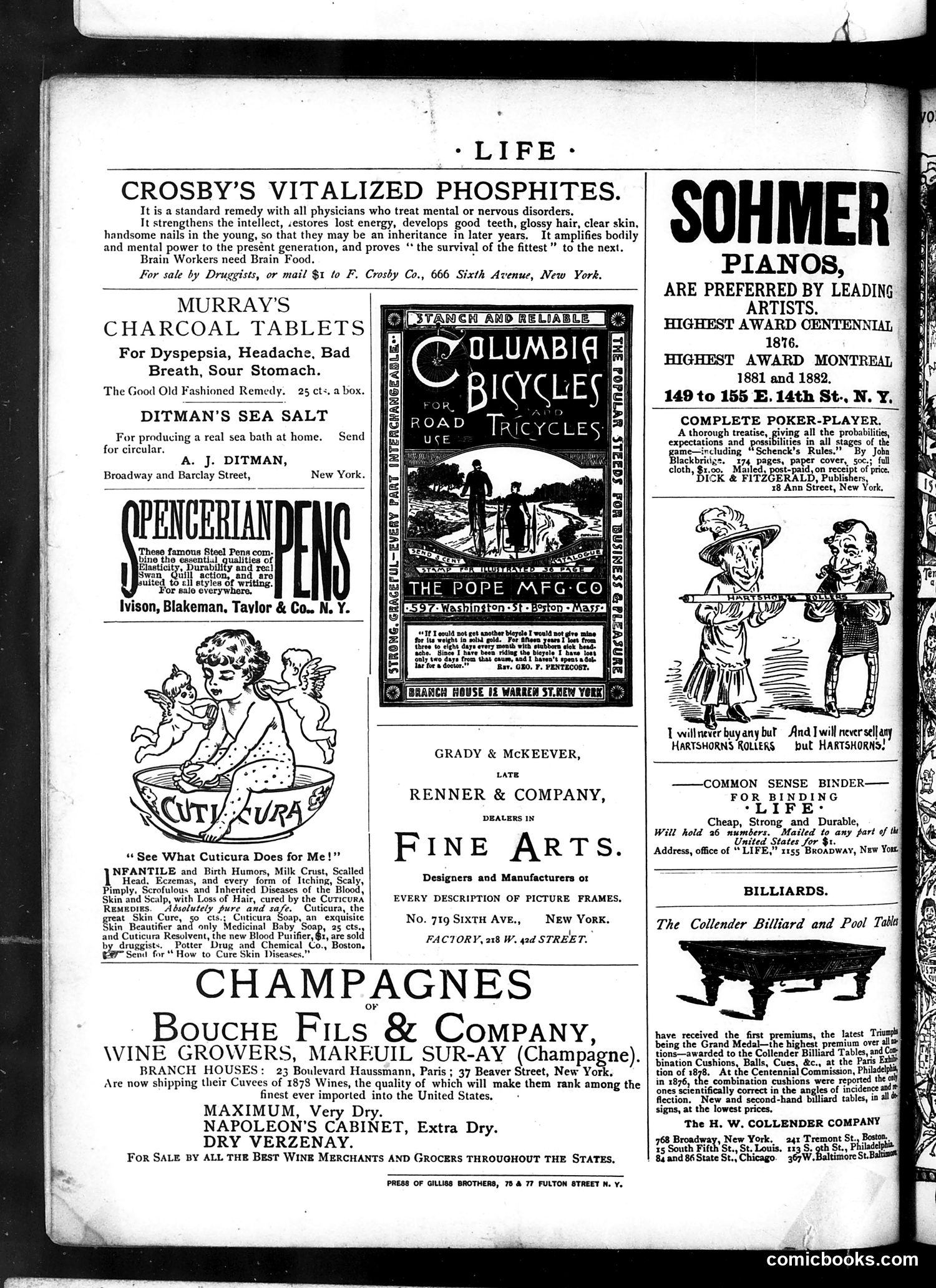 Life — May 1, 1884 — page 16 of 16