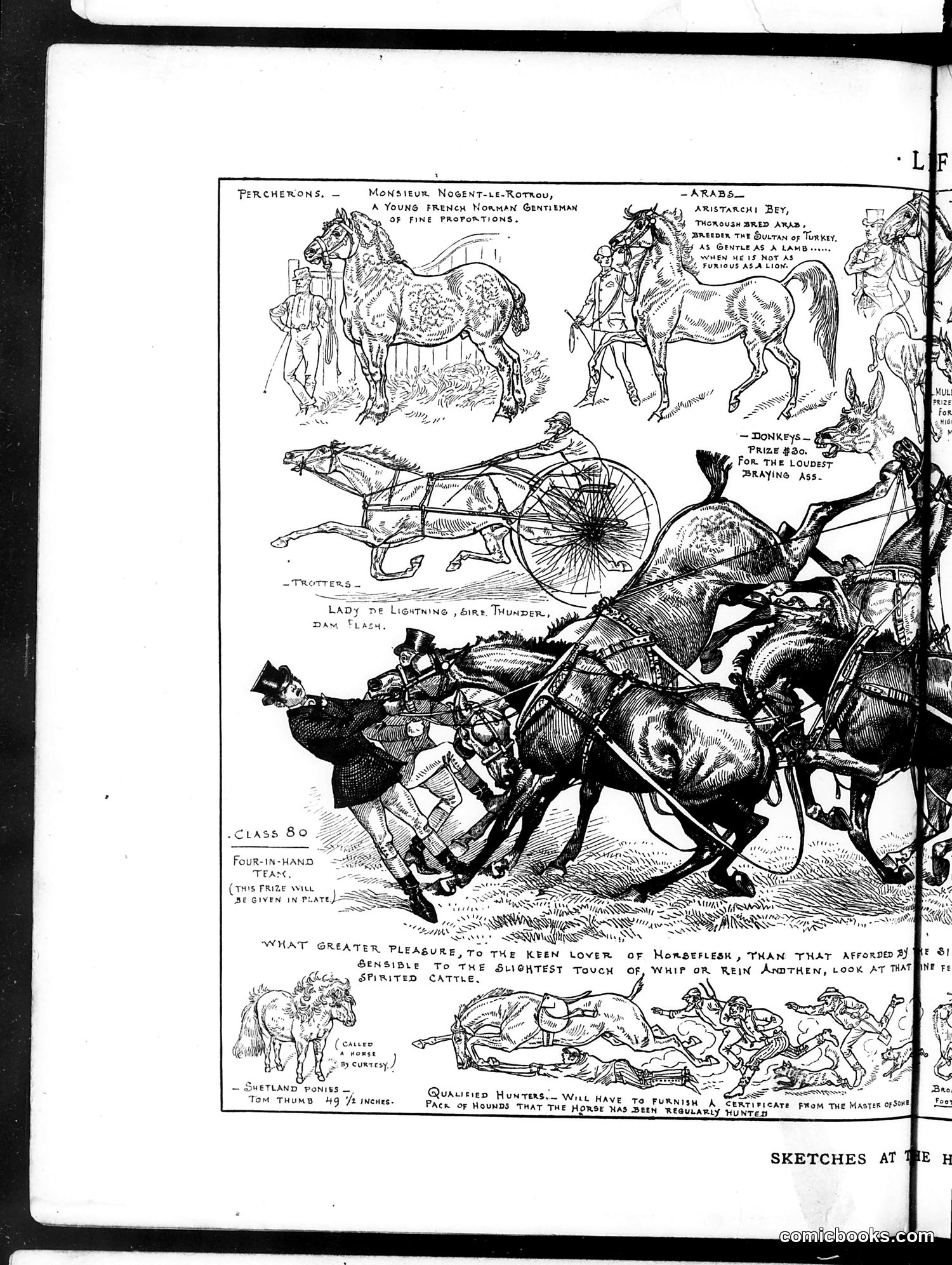 Life — May 29, 1884 — page 8 of 16