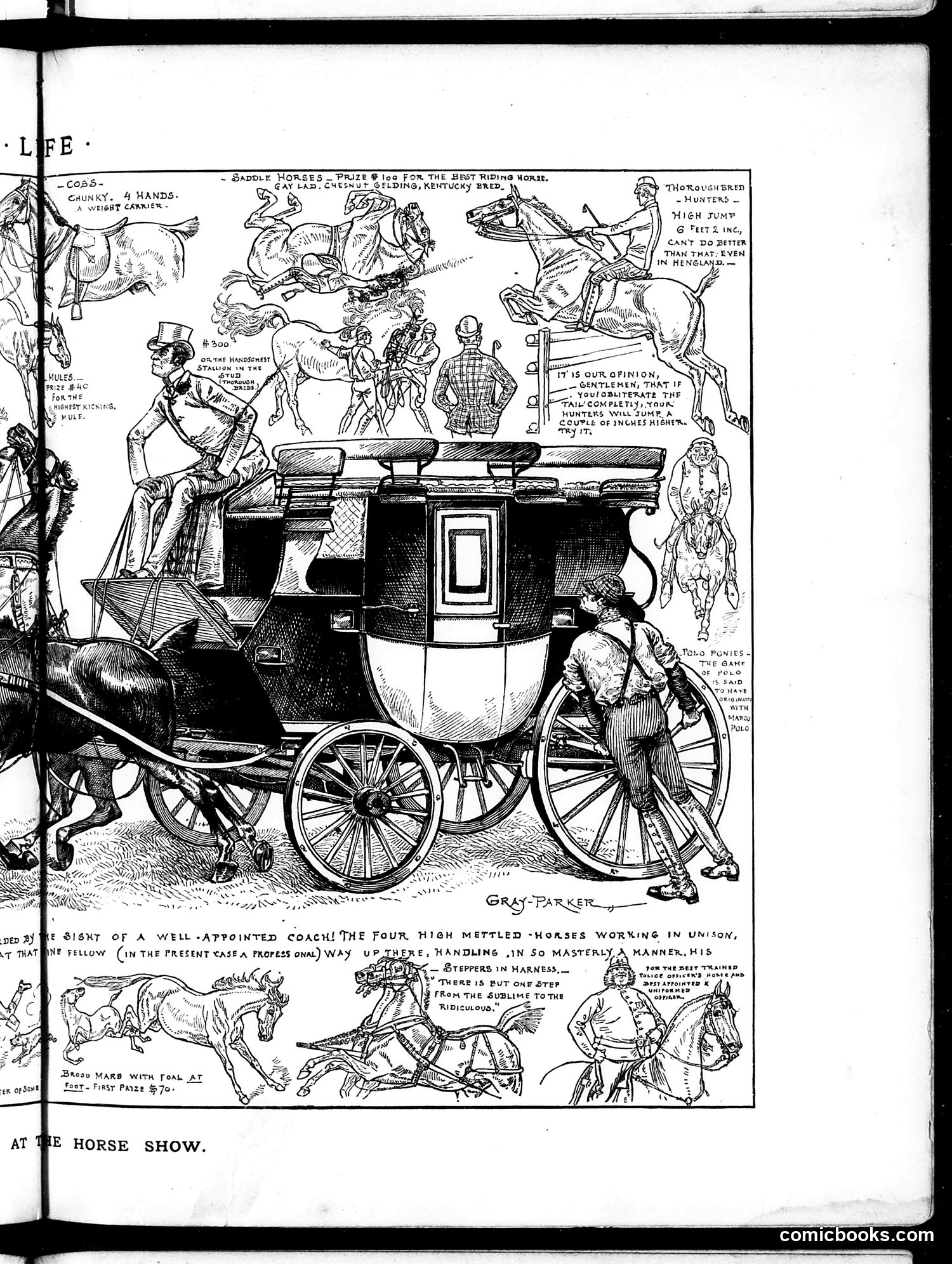 Life — May 29, 1884 — page 9 of 16