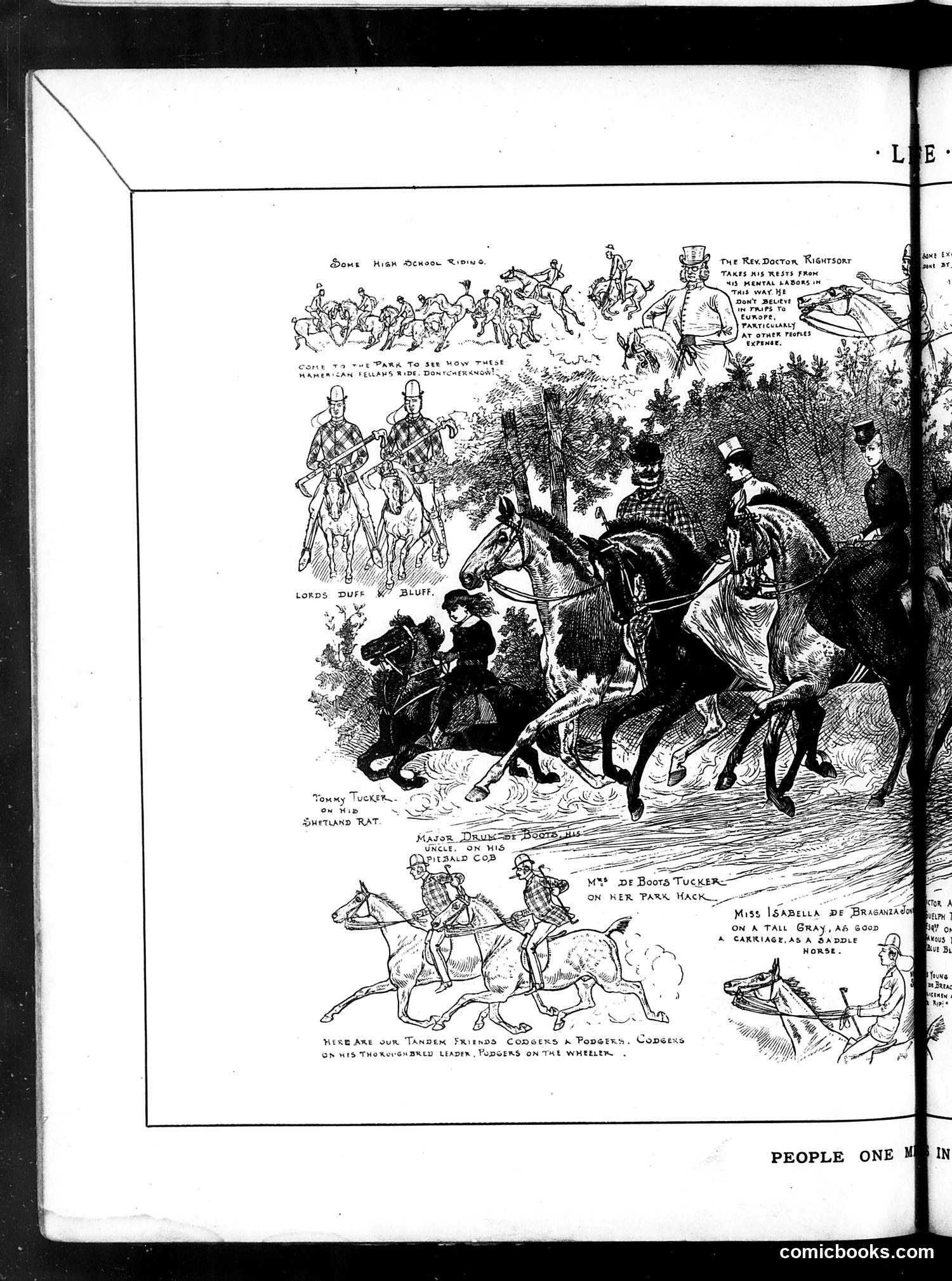 Life — June 12, 1884 — page 8 of 16