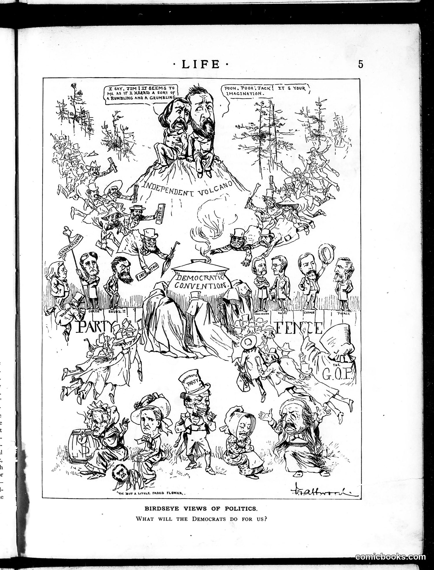 Life — July 3, 1884 — page 5 of 16