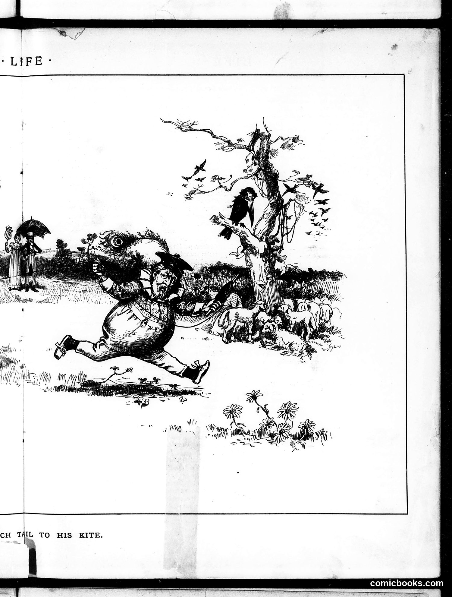 Life — July 31, 1884 — page 9 of 16