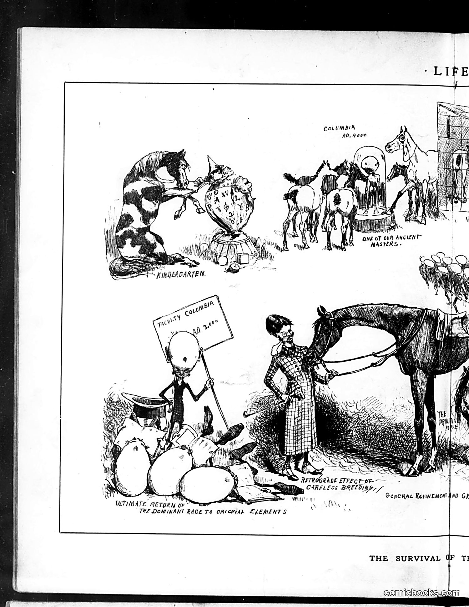 Life — August 7, 1884 — page 8 of 16