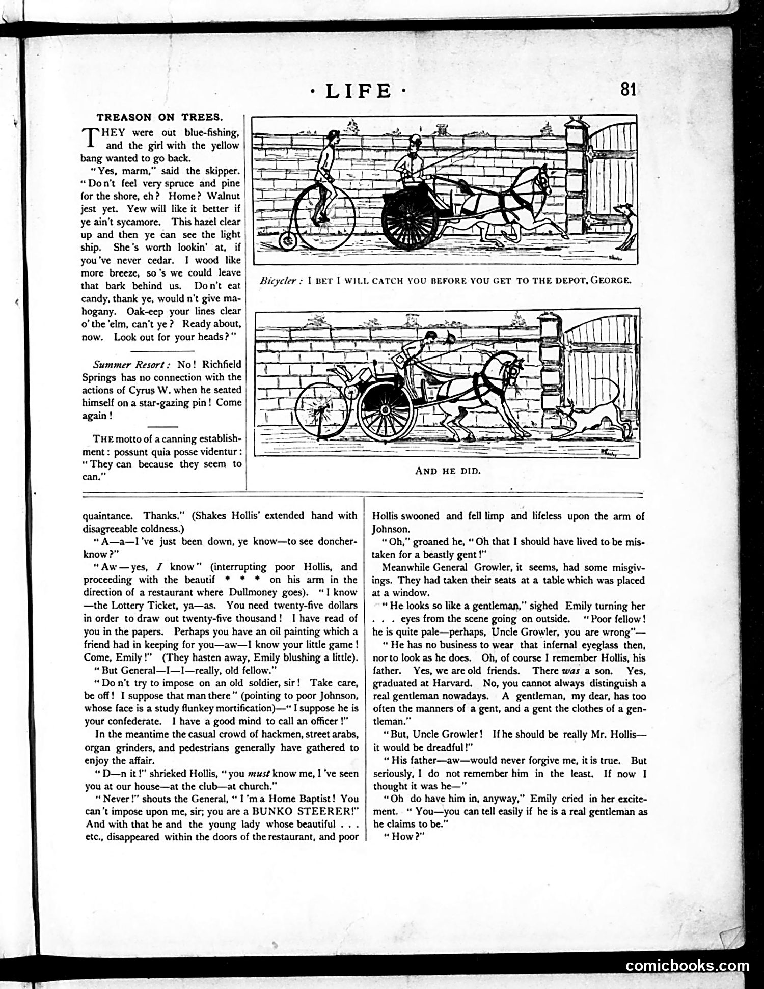 Life — August 7, 1884 — page 11 of 16