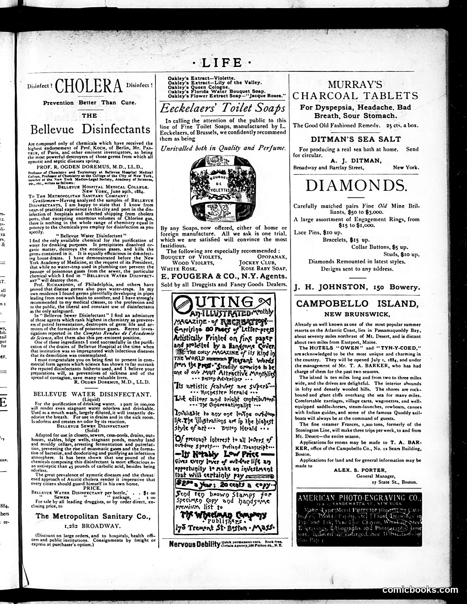 Life — August 14, 1884 — page 15 of 16