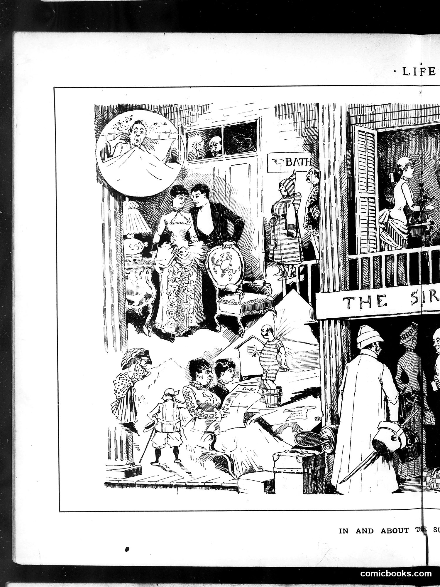 Life — August 21, 1884 — page 8 of 16