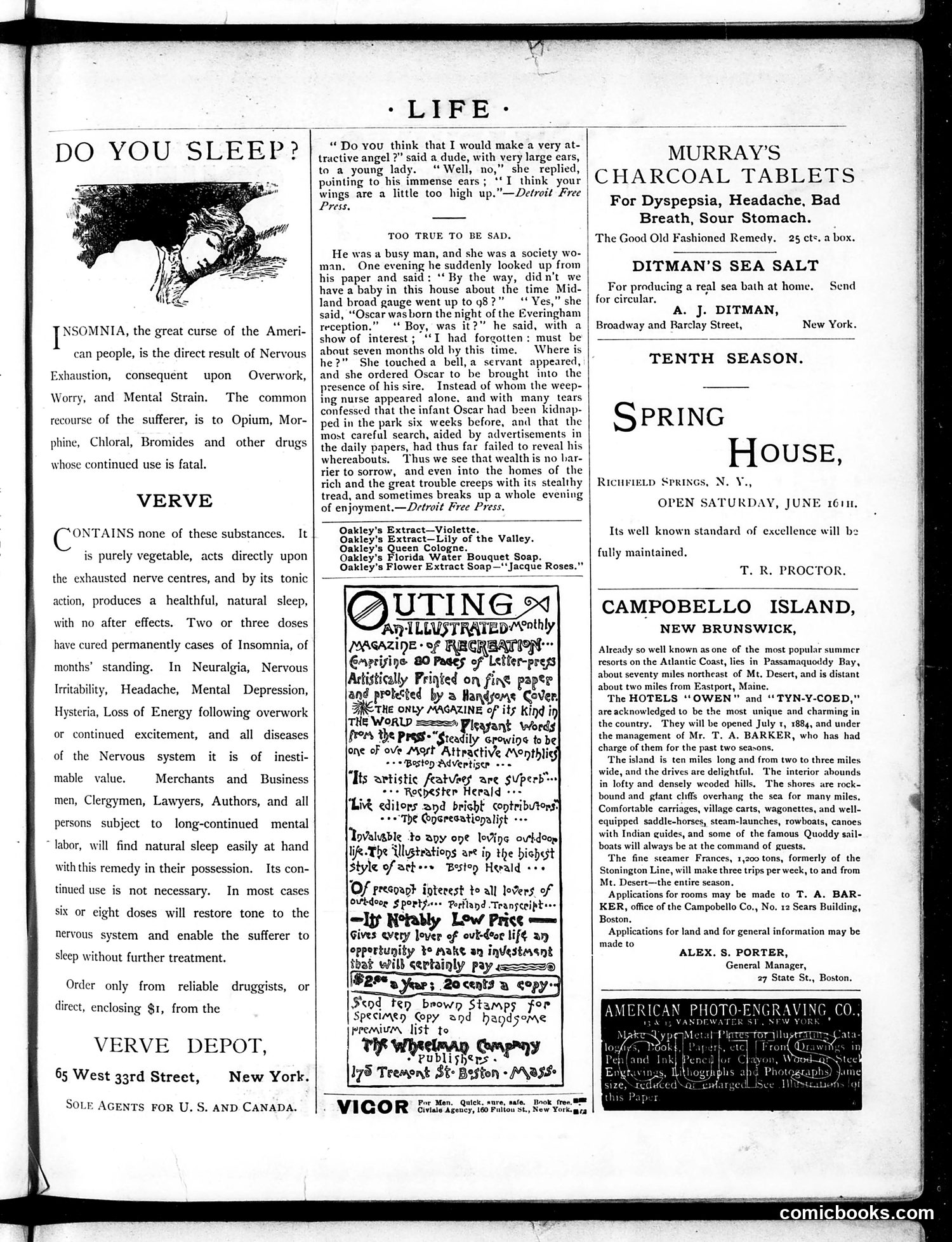 Life — August 21, 1884 — page 15 of 16