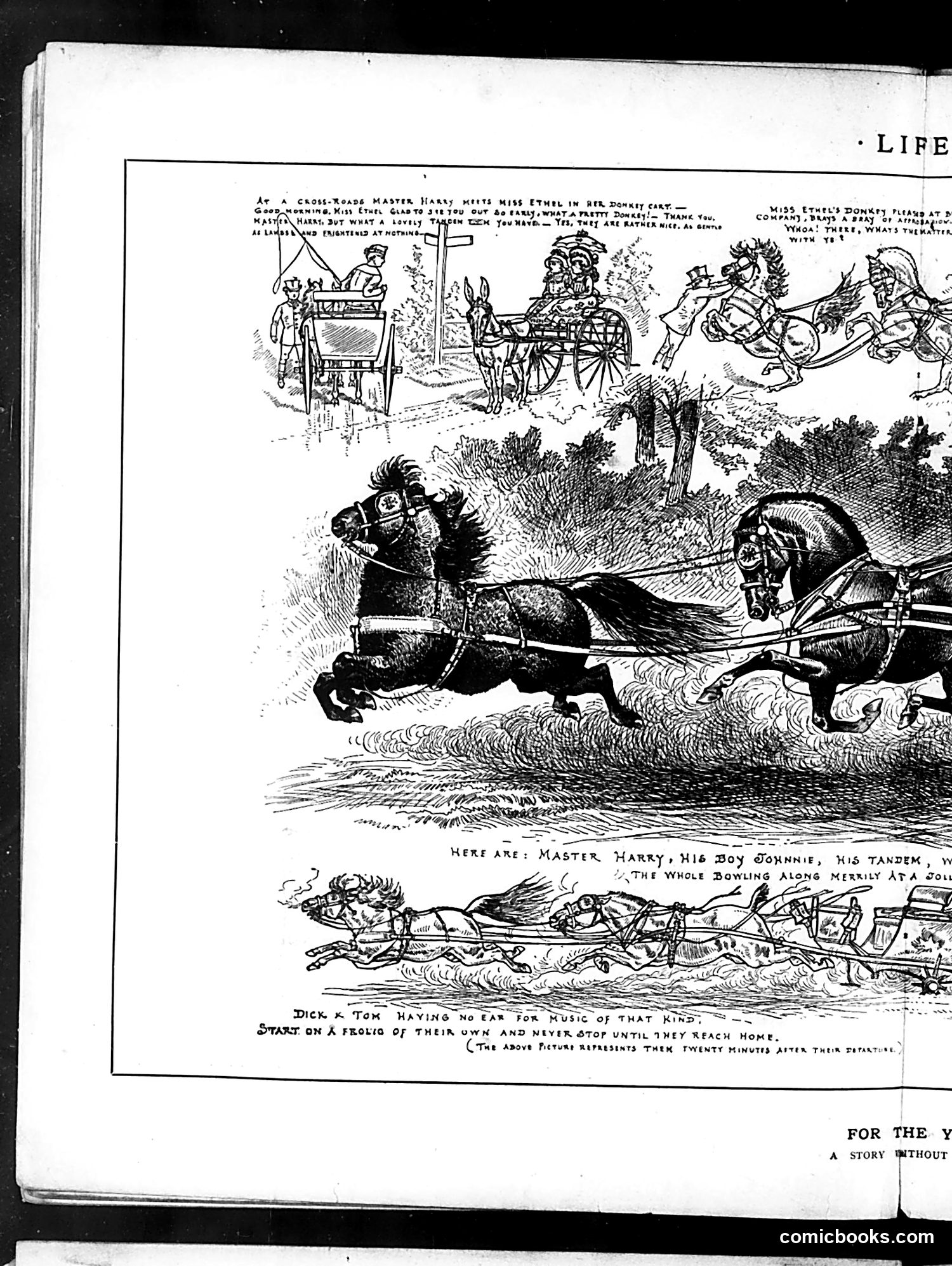 Life — September 11, 1884 — page 8 of 16