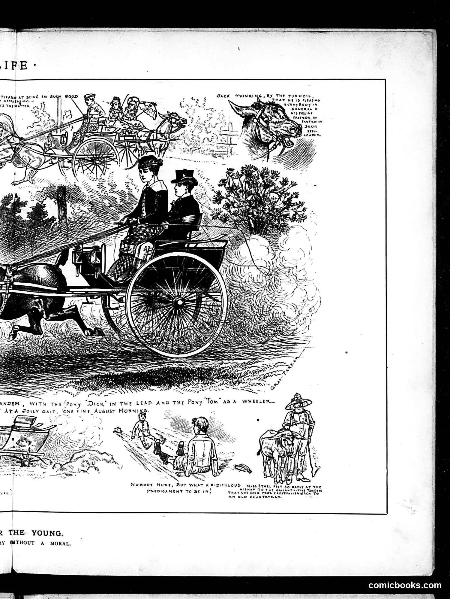 Life — September 11, 1884 — page 9 of 16