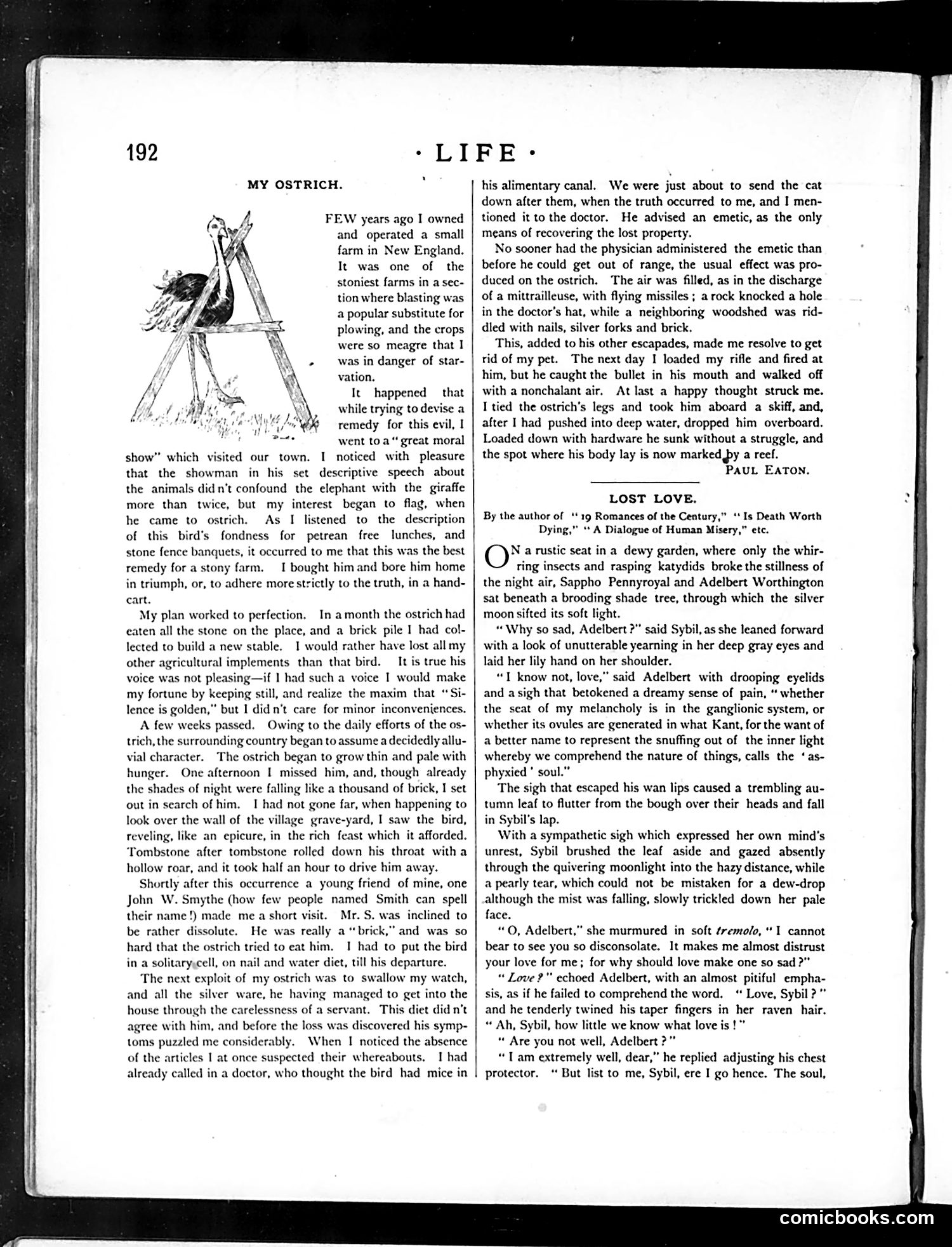 Life — October 2, 1884 — page 10 of 16