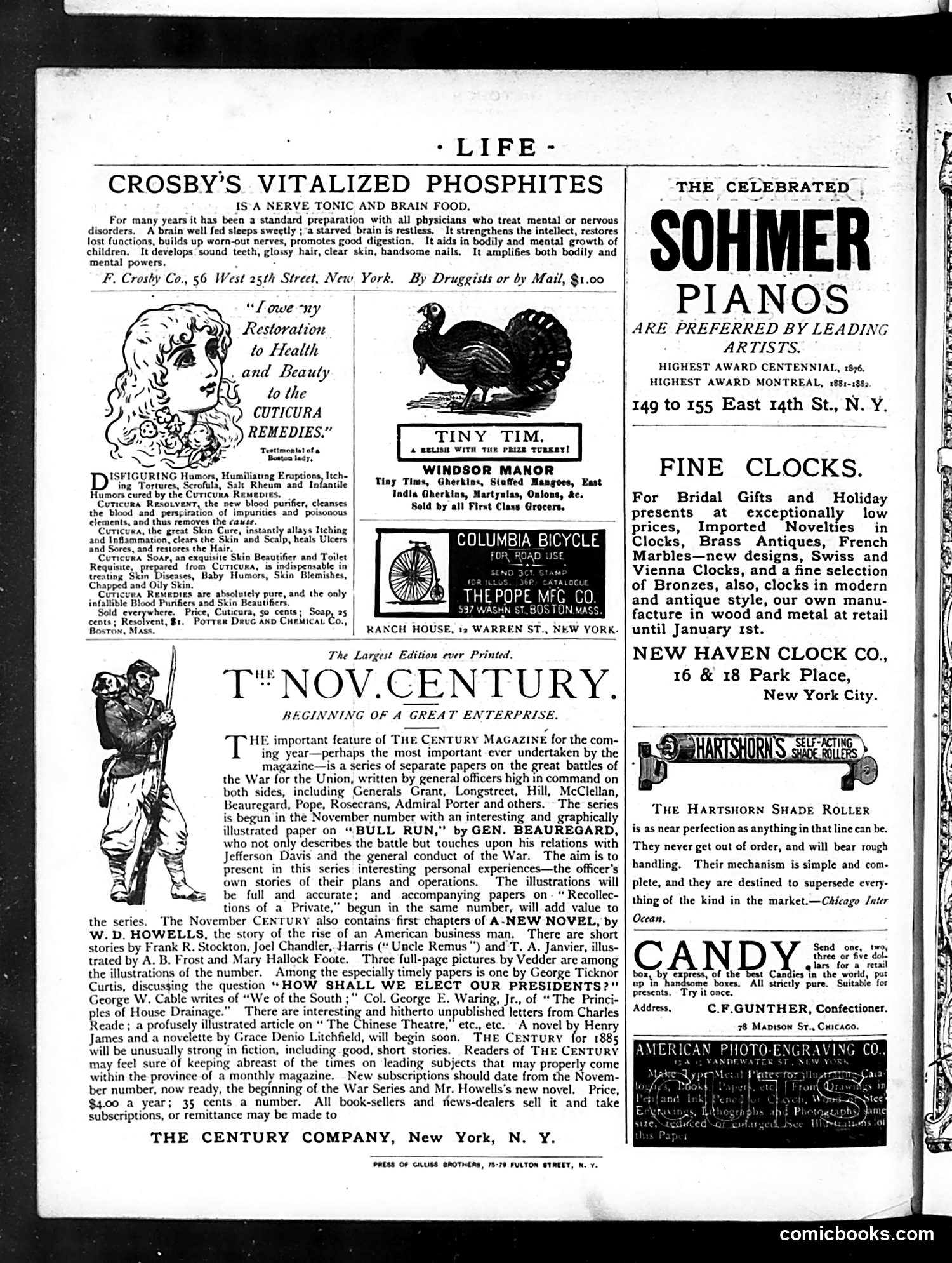 Life — October 23, 1884 — page 16 of 16