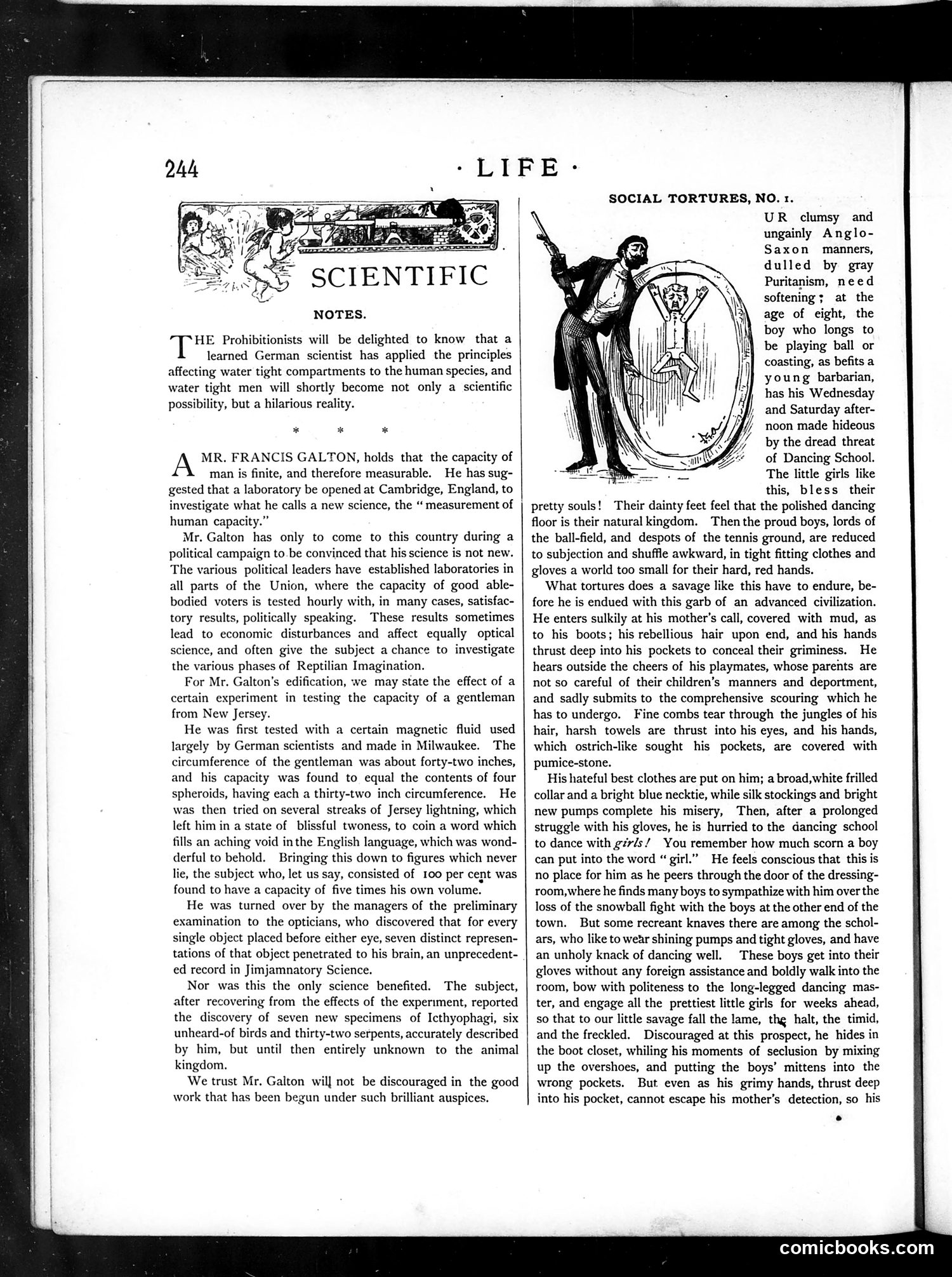 Life — October 30, 1884 — page 6 of 16