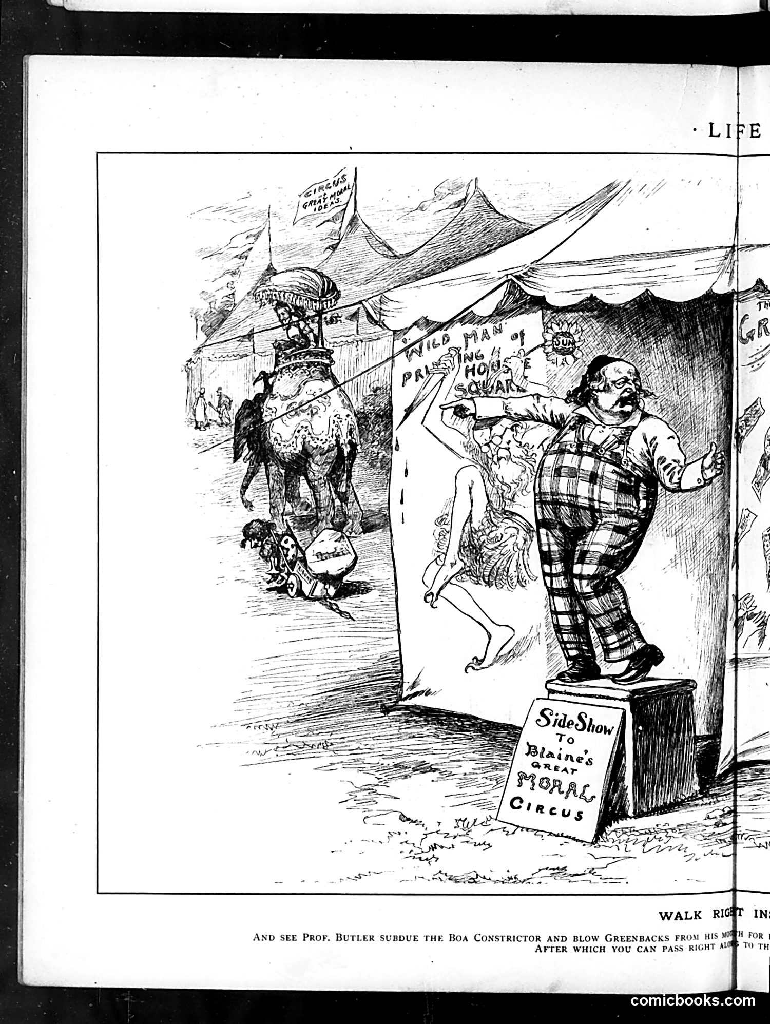 Life — October 30, 1884 — page 8 of 16