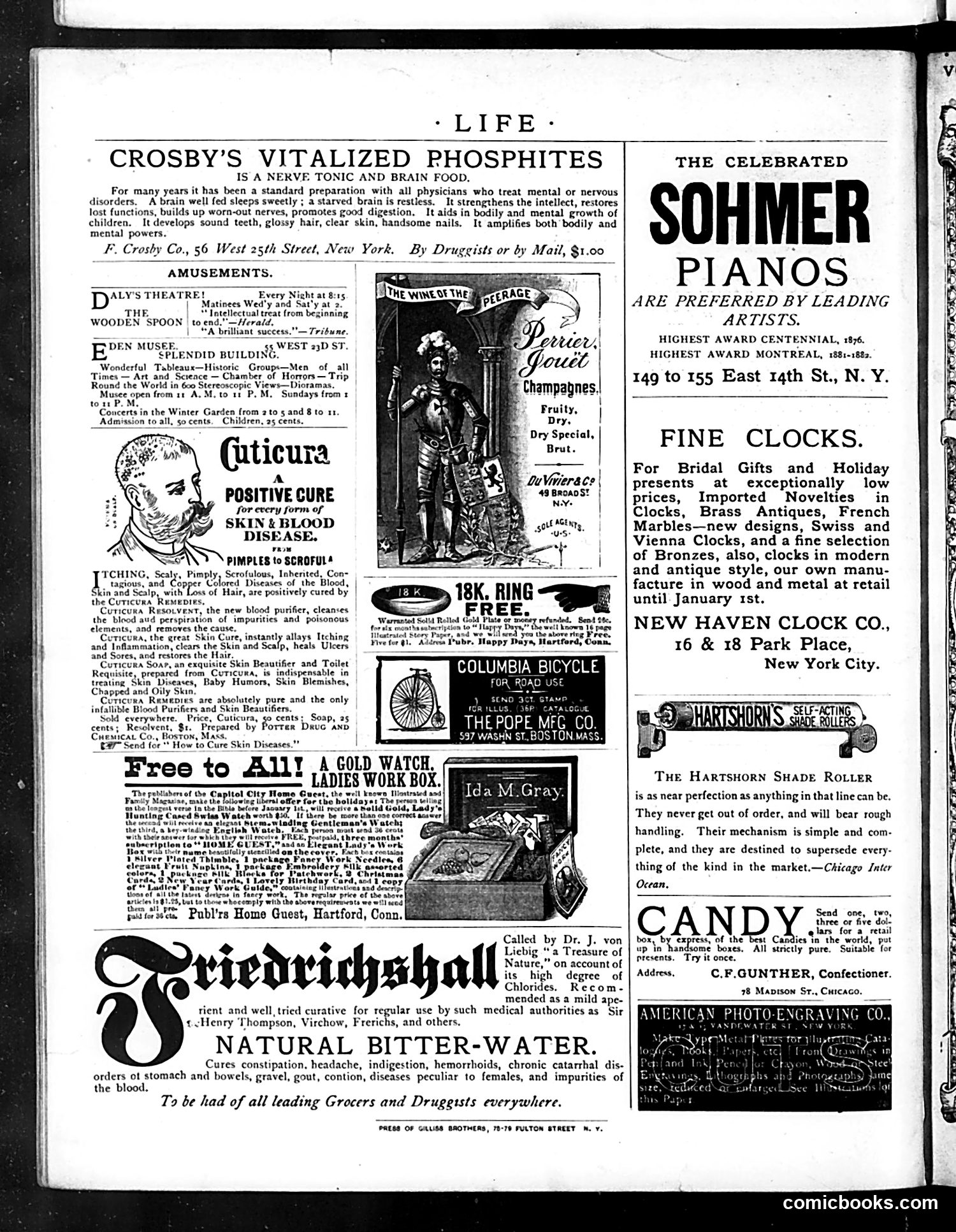 Life — October 30, 1884 — page 16 of 16