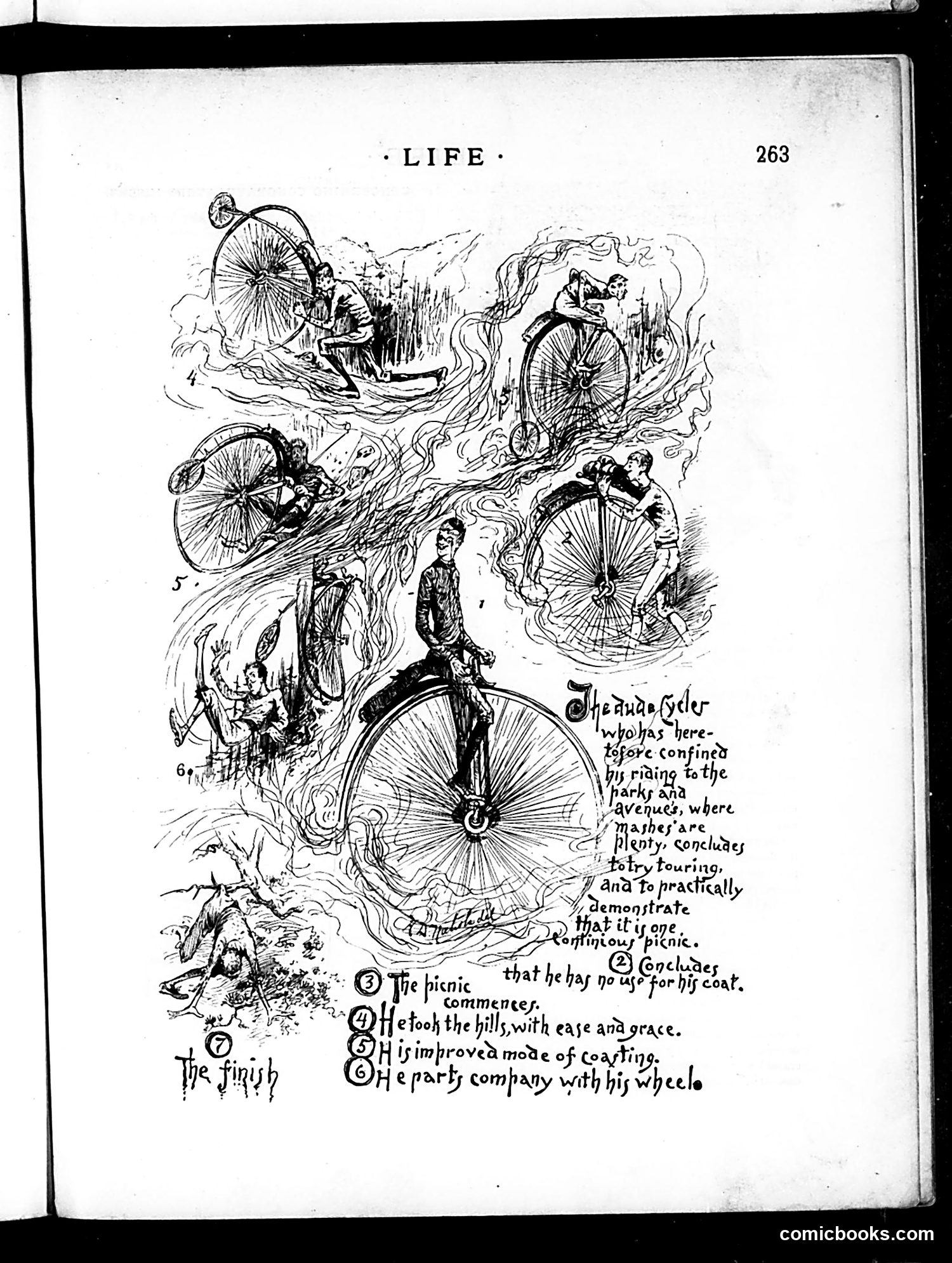 Life — November 6, 1884 — page 11 of 16