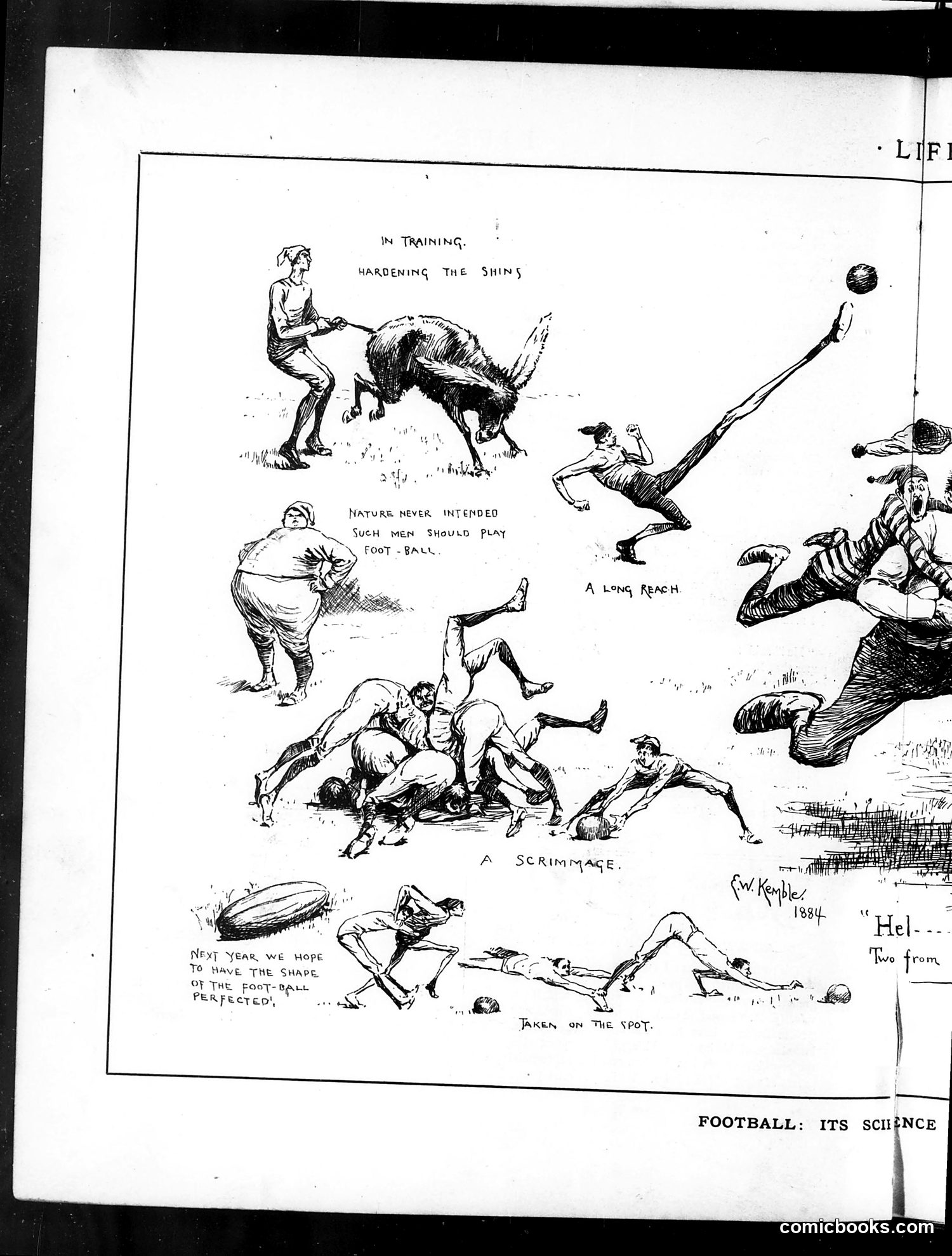 Life — November 20, 1884 — page 8 of 18