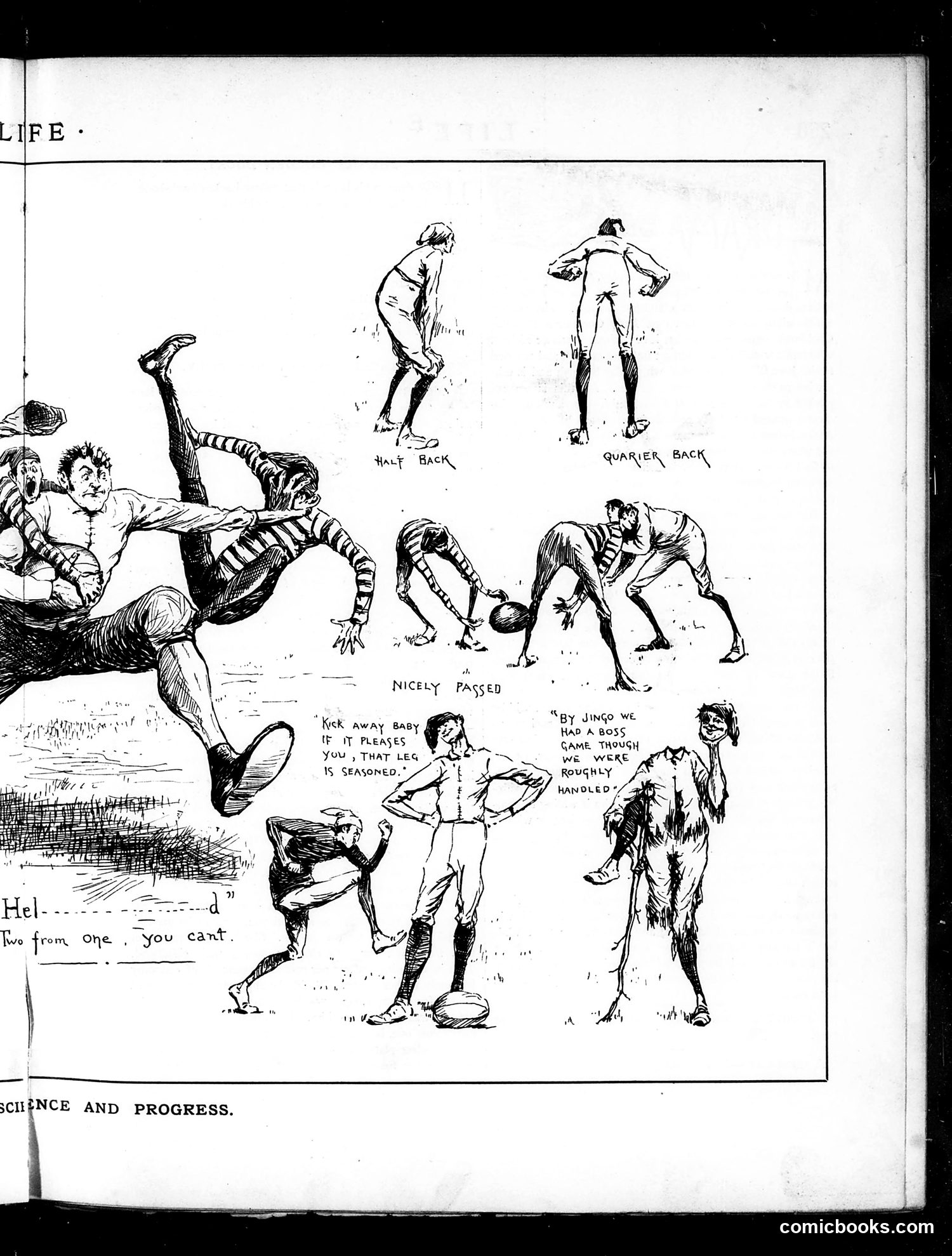 Life — November 20, 1884 — page 9 of 18