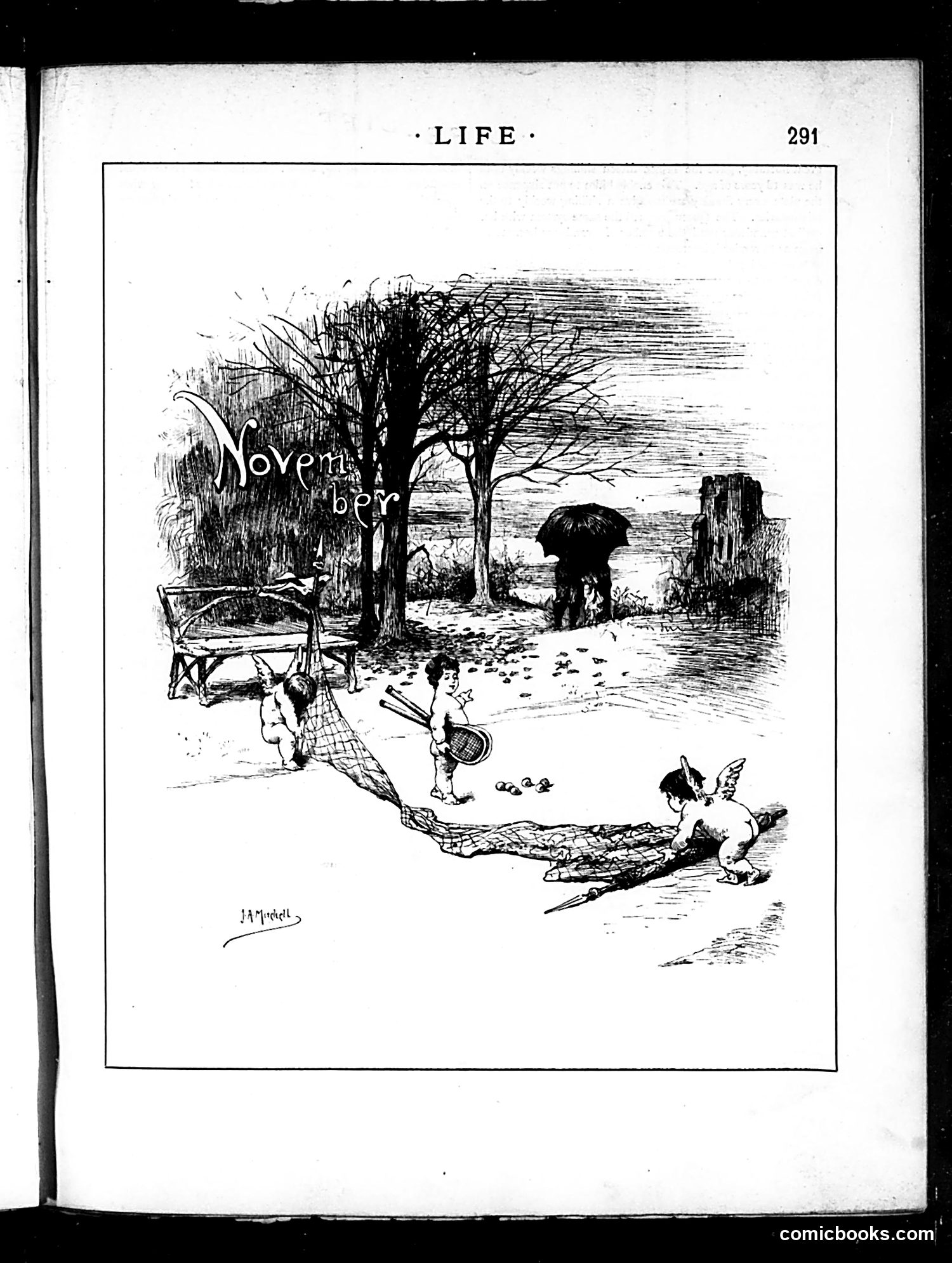 Life — November 20, 1884 — page 11 of 18