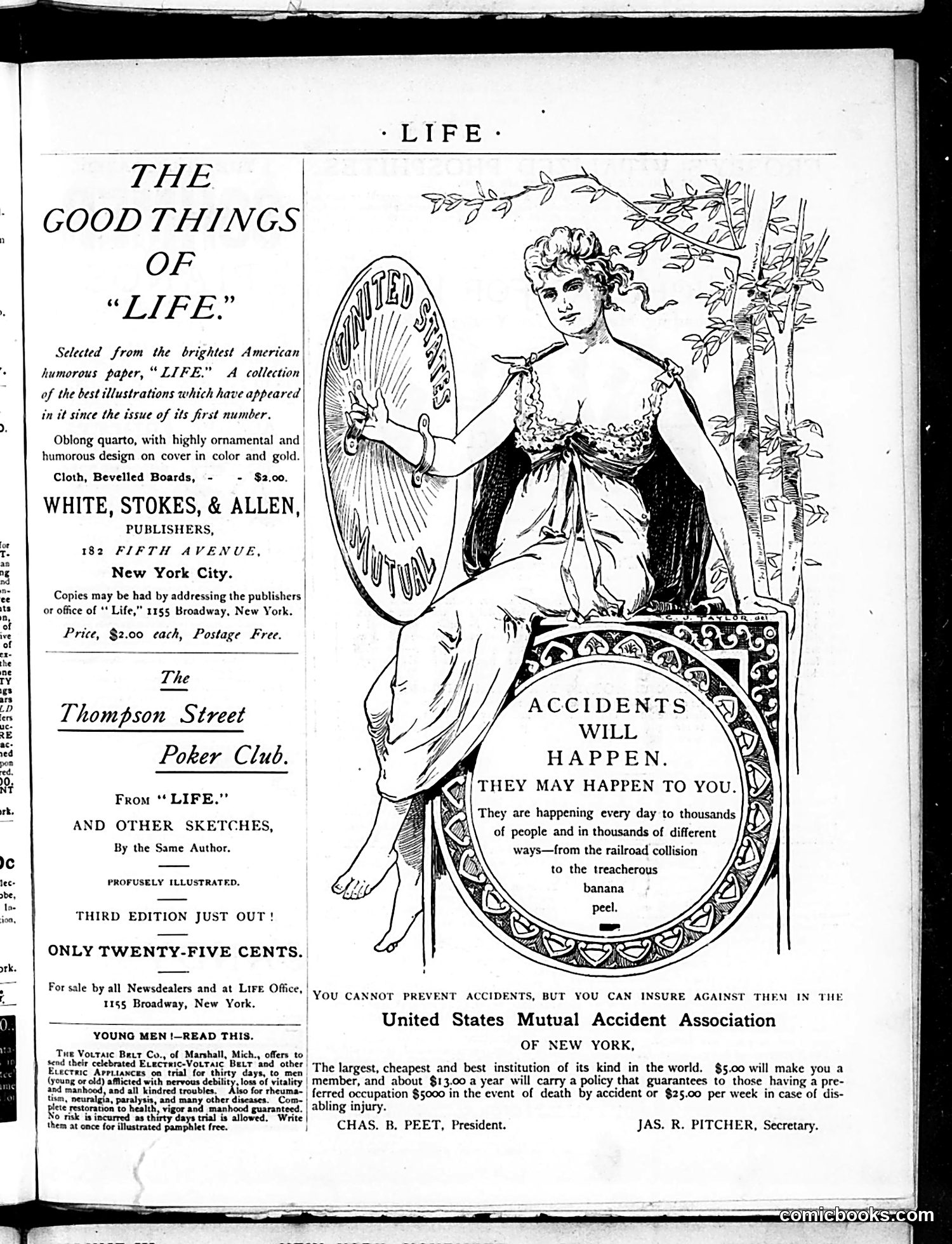 Life — November 20, 1884 — page 17 of 18