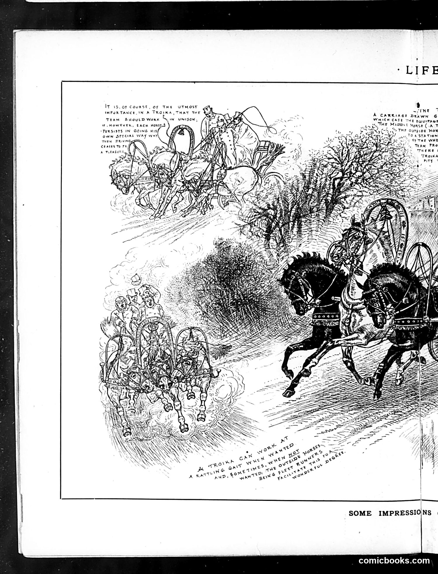 Life — December 4, 1884 — page 8 of 16