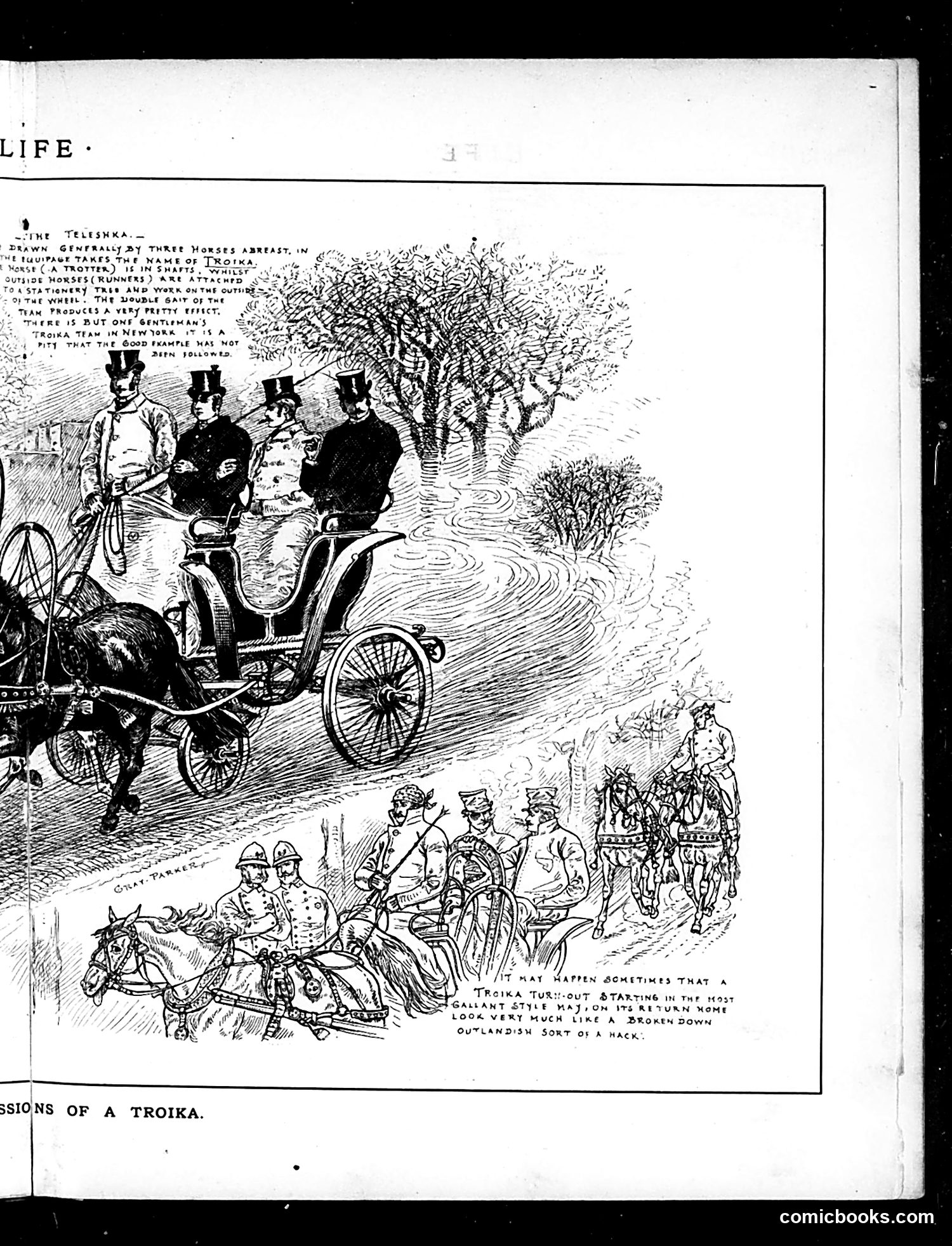 Life — December 4, 1884 — page 9 of 16
