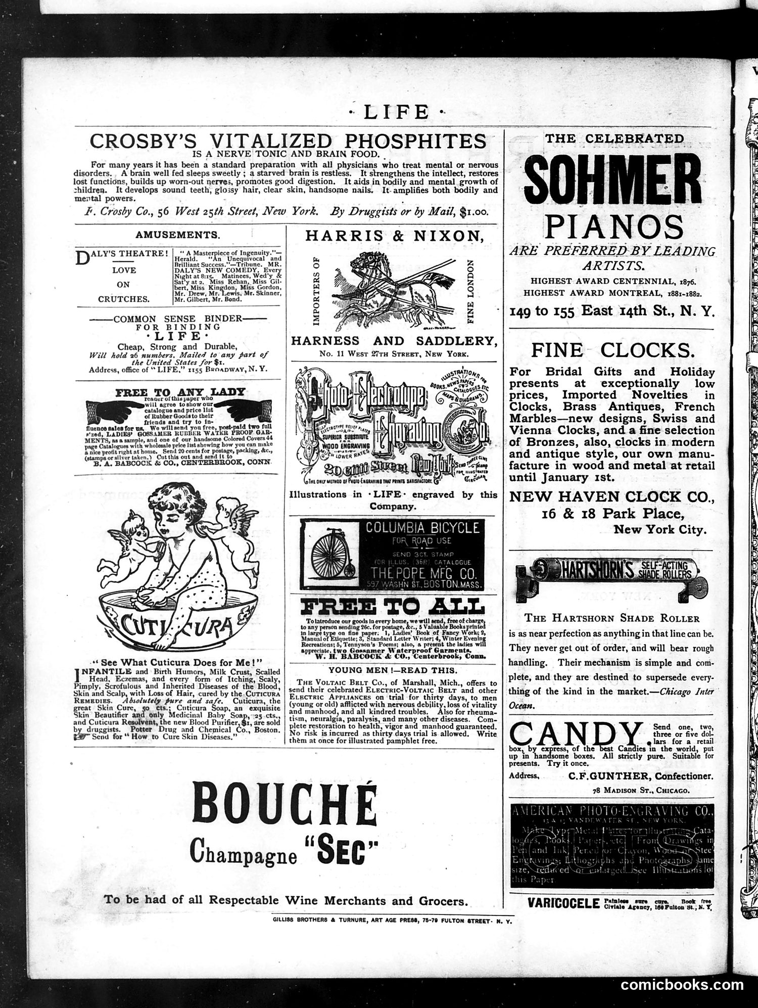 Life — December 18, 1884 — page 16 of 16