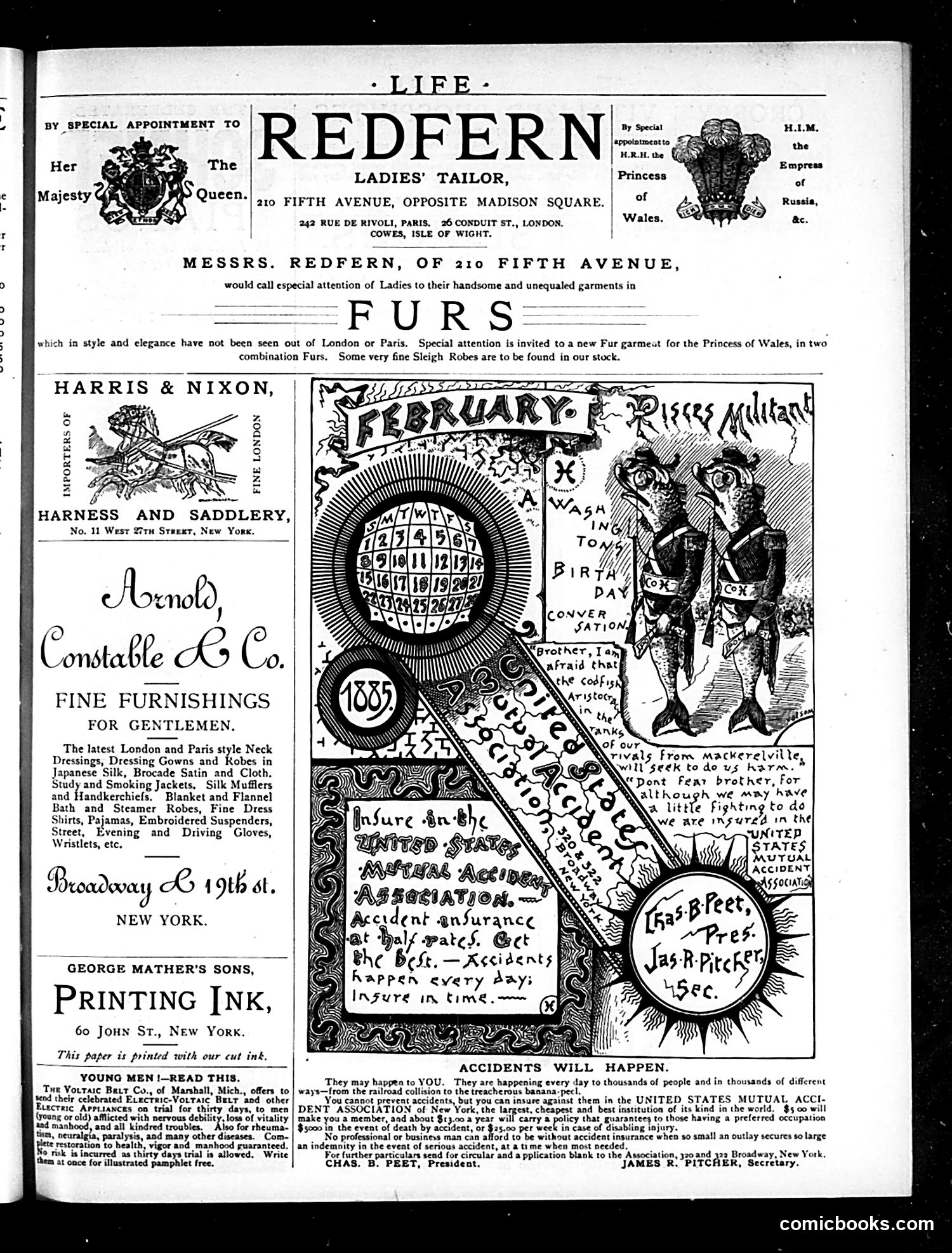 Life — January 1, 1885 — page 15 of 16