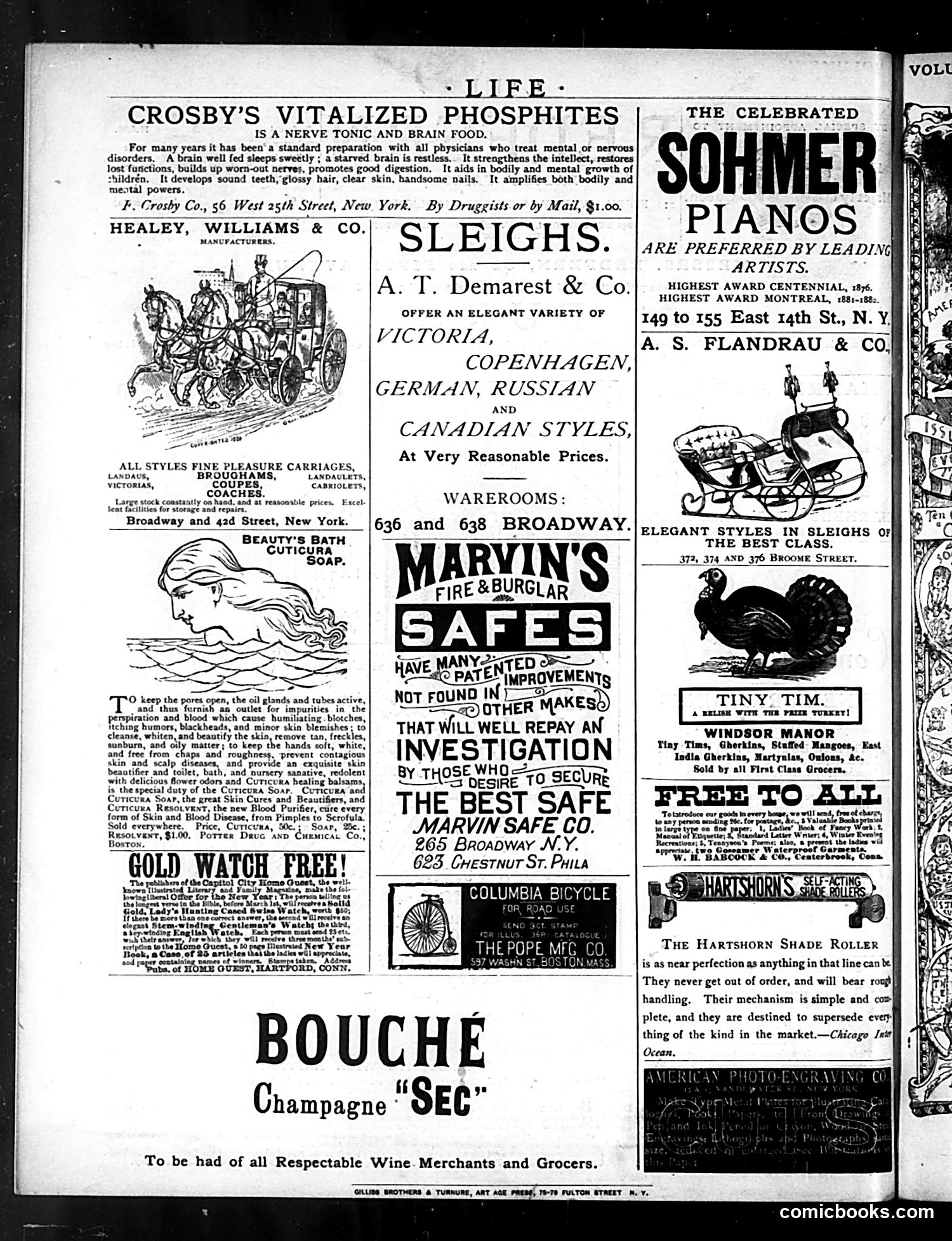Life — January 1, 1885 — page 16 of 16