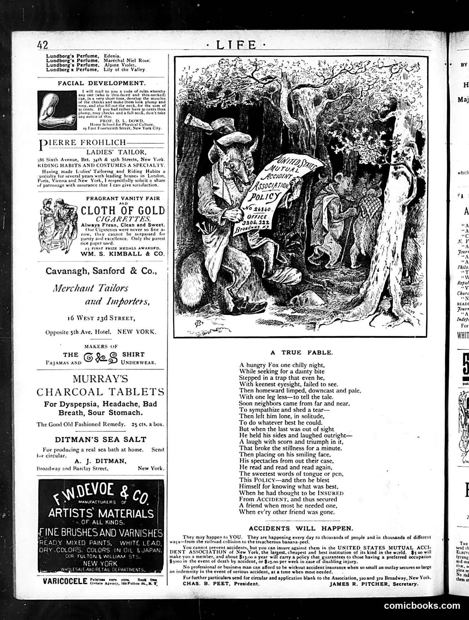 Life — January 15, 1885 — page 14 of 16