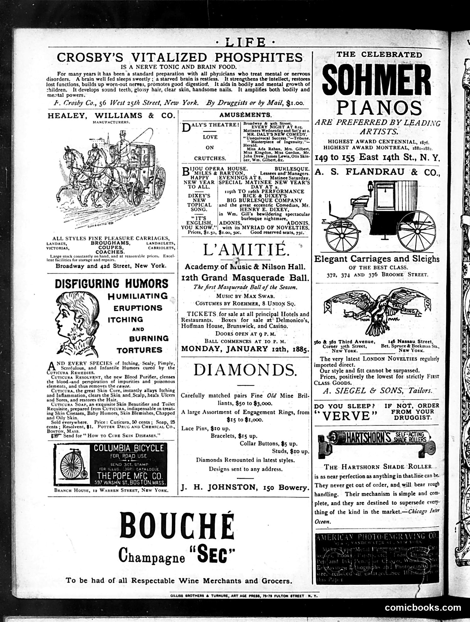 Life — January 15, 1885 — page 16 of 16