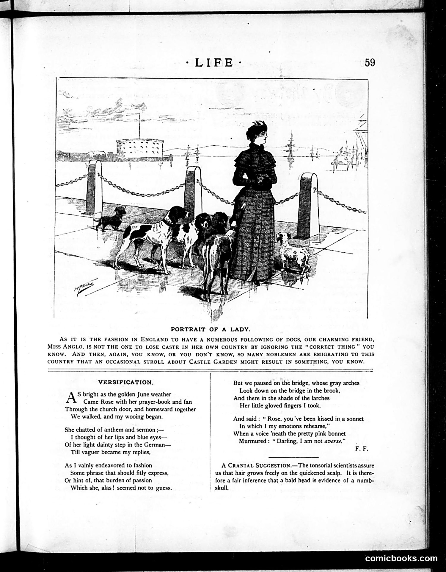 Life — January 29, 1885 — page 3 of 16
