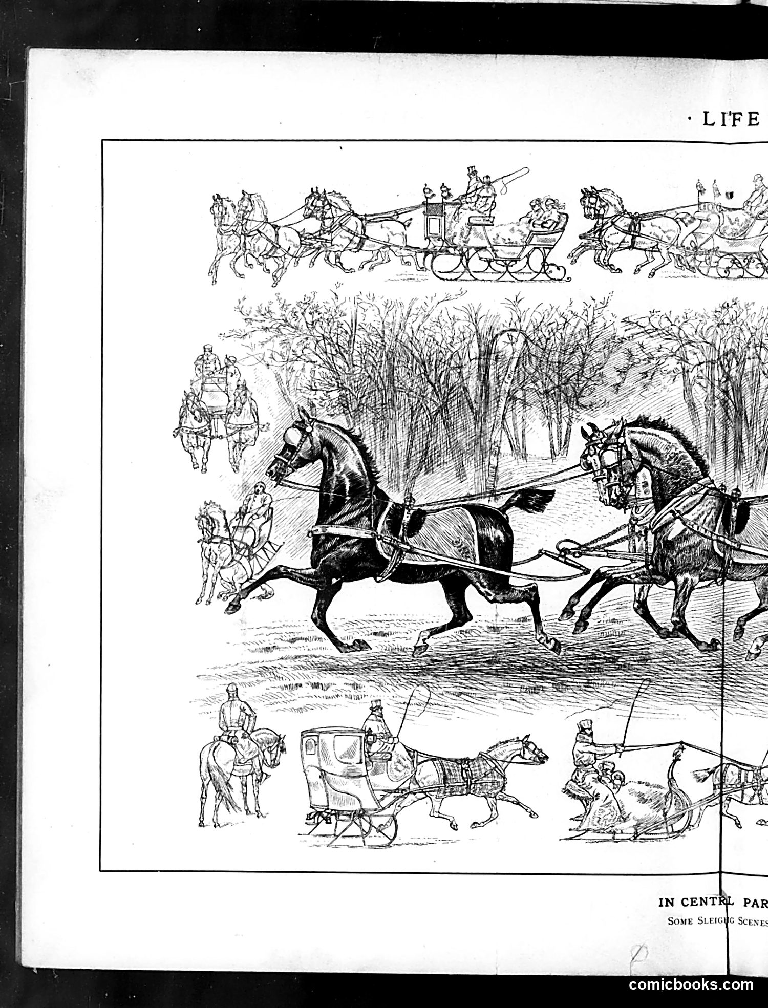 Life — January 29, 1885 — page 8 of 16