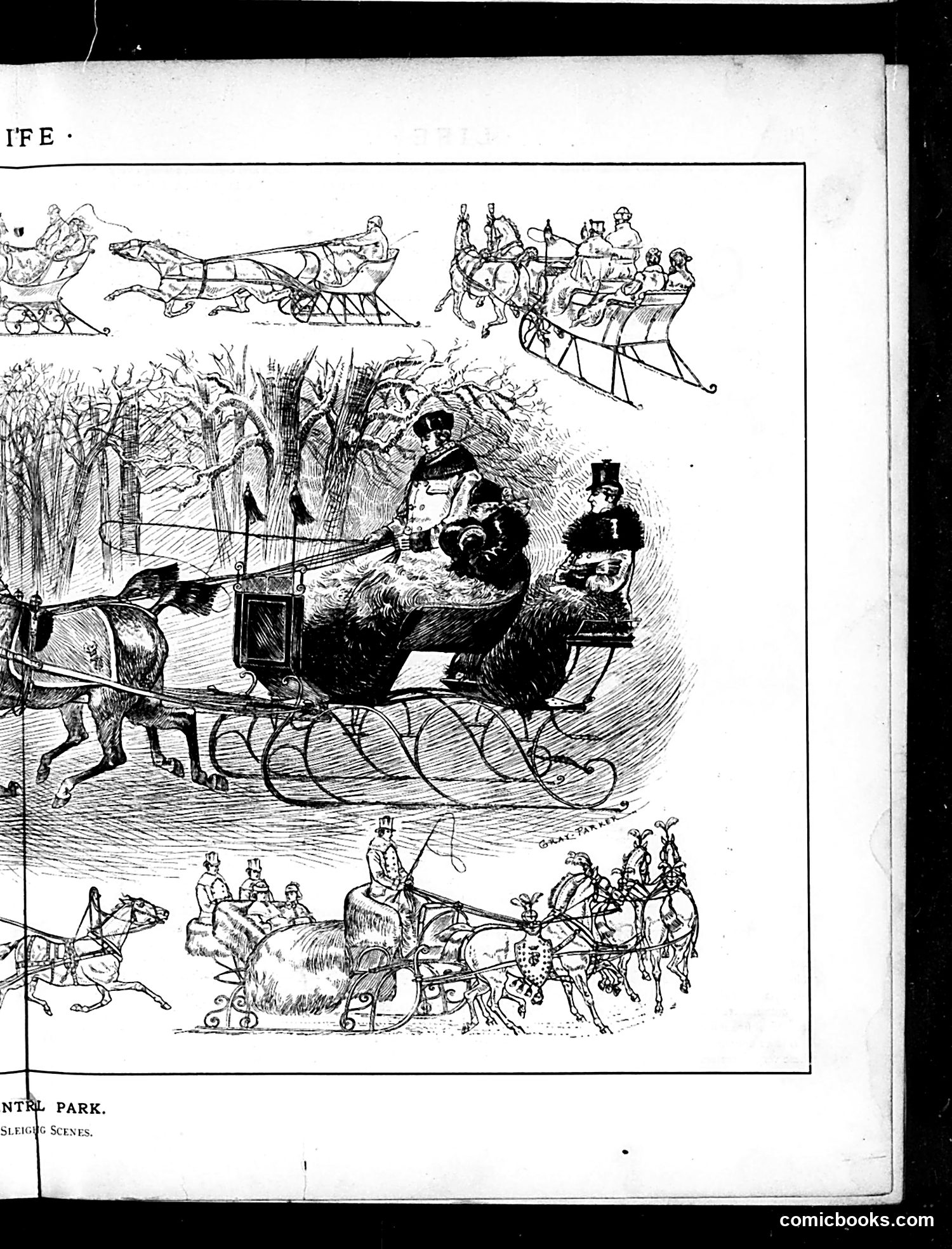 Life — January 29, 1885 — page 9 of 16