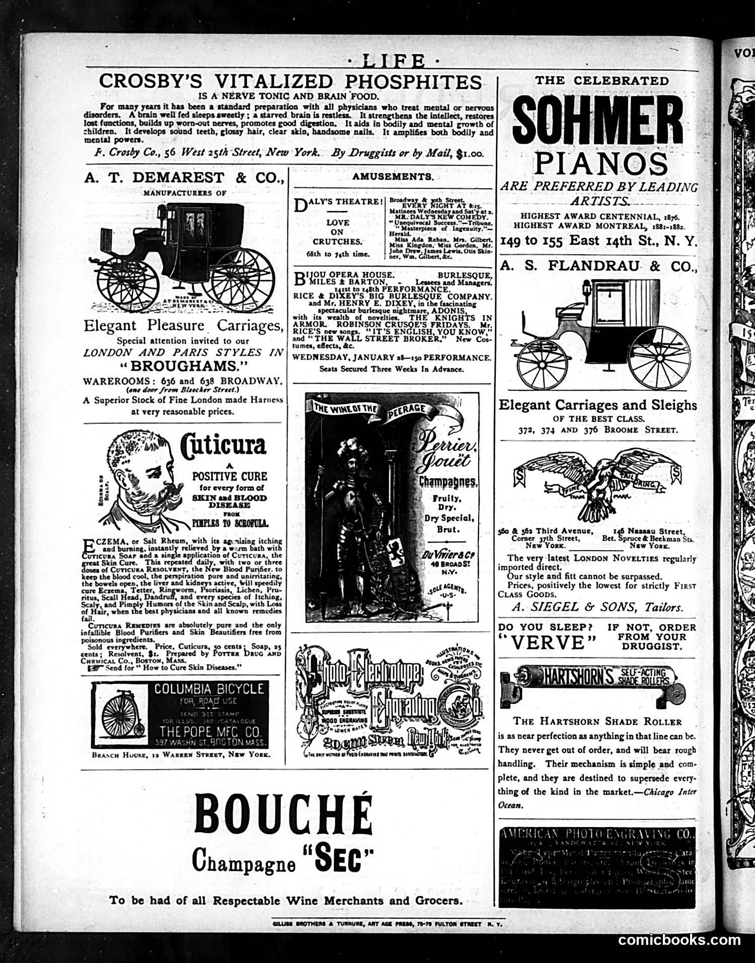 Life — January 29, 1885 — page 16 of 16