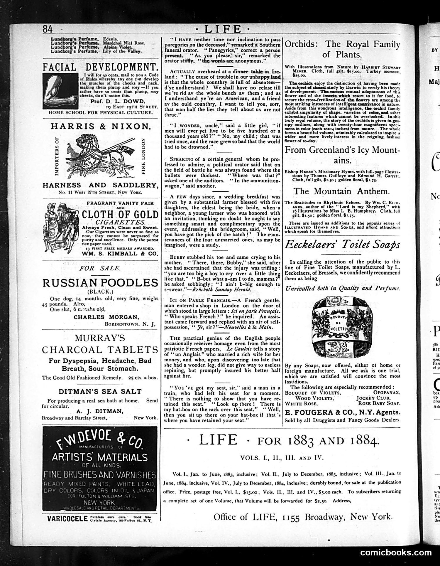 Life — February 5, 1885 — page 14 of 16