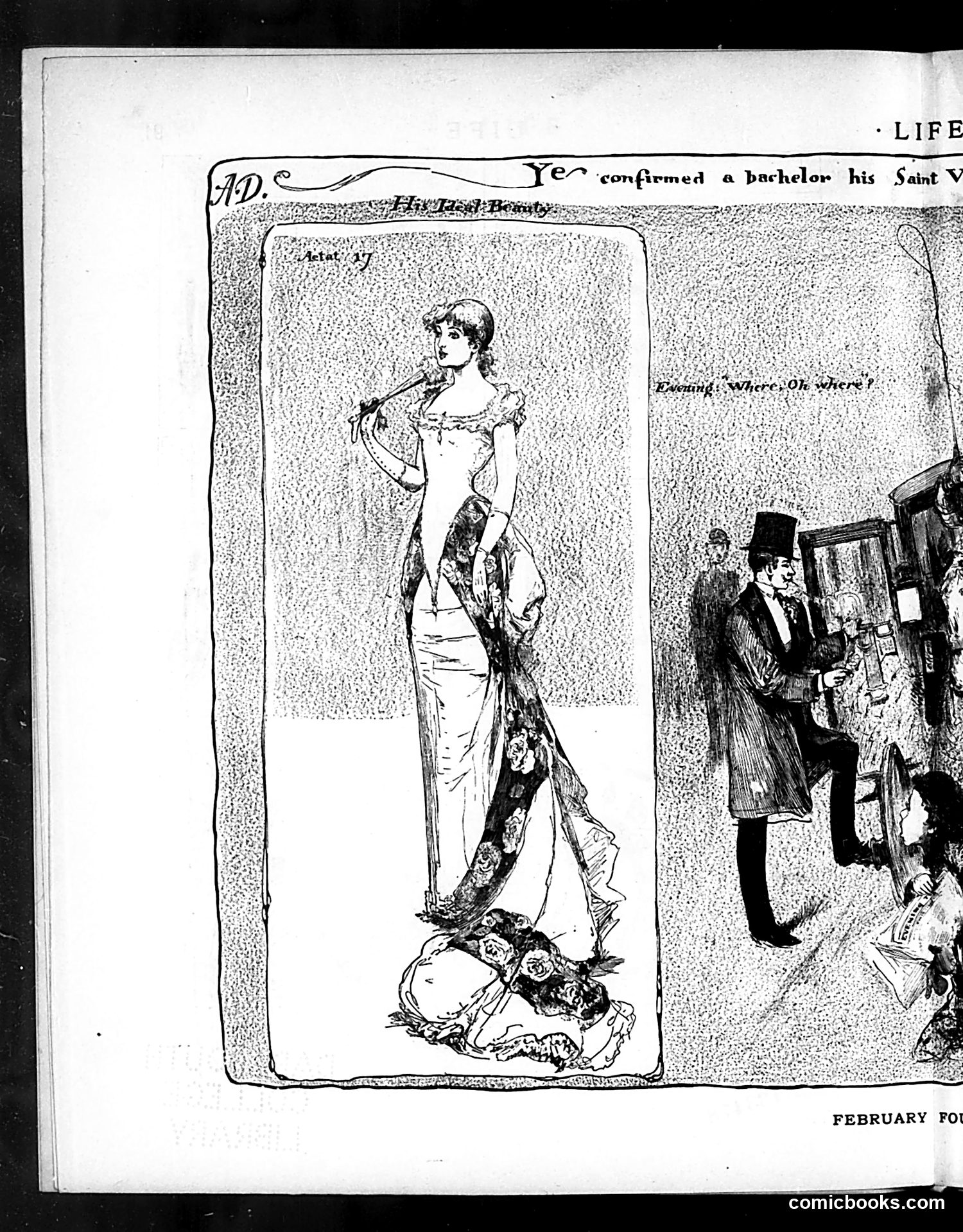 Life — February 12, 1885 — page 8 of 22