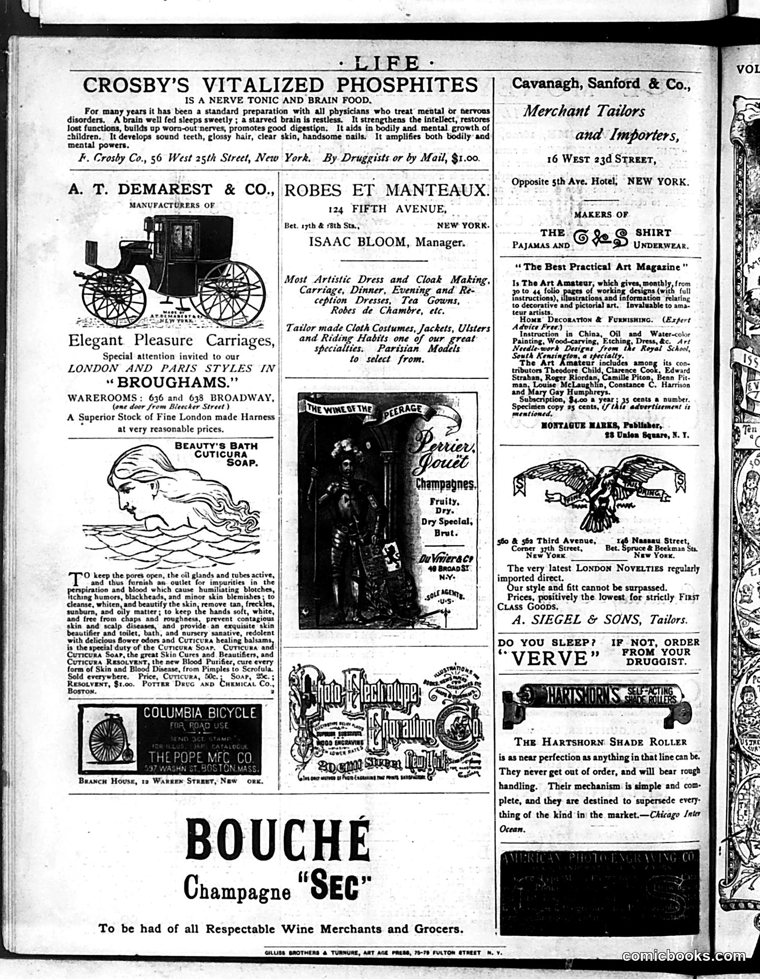 Life — February 12, 1885 — page 22 of 22