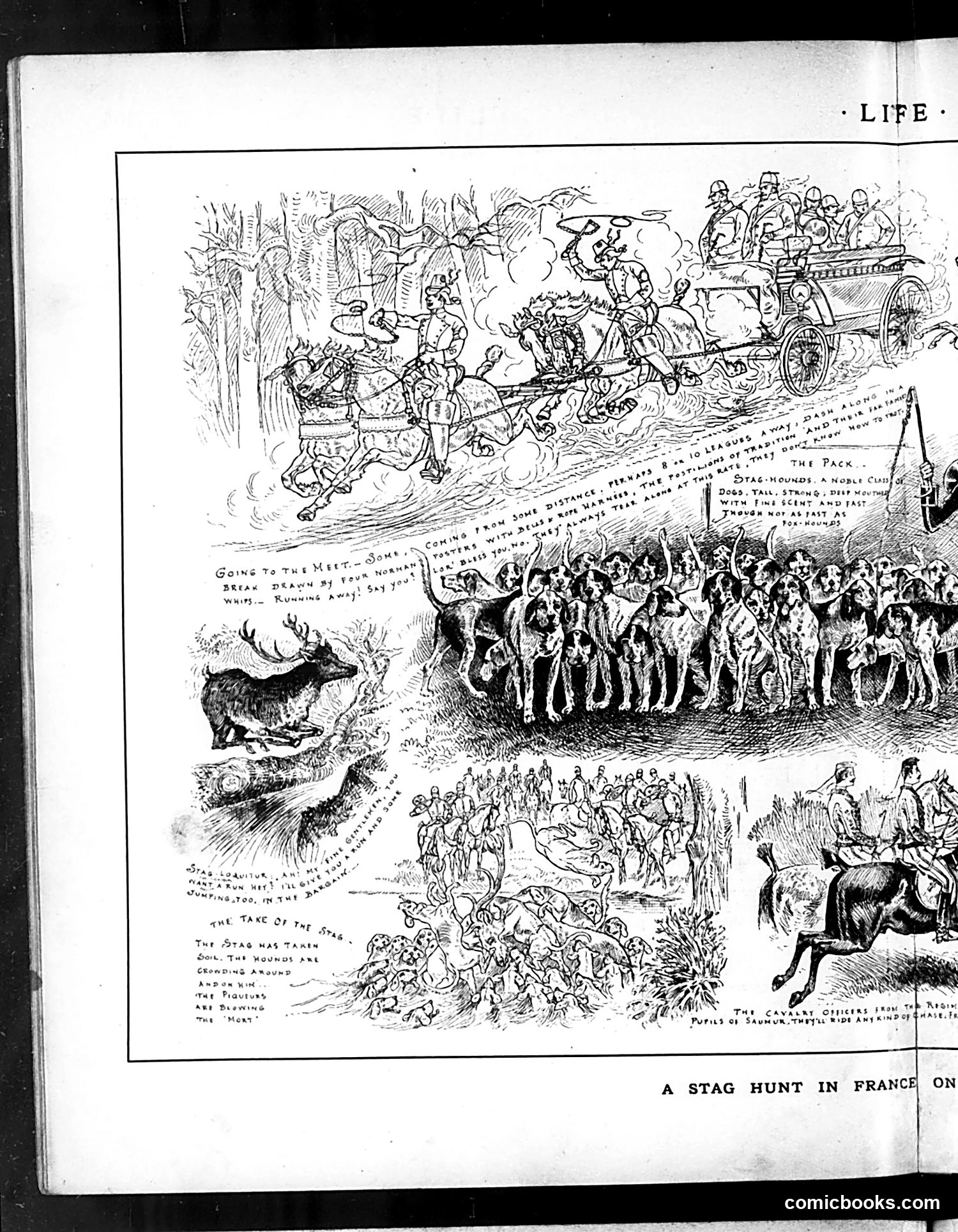 Life — February 19, 1885 — page 8 of 16