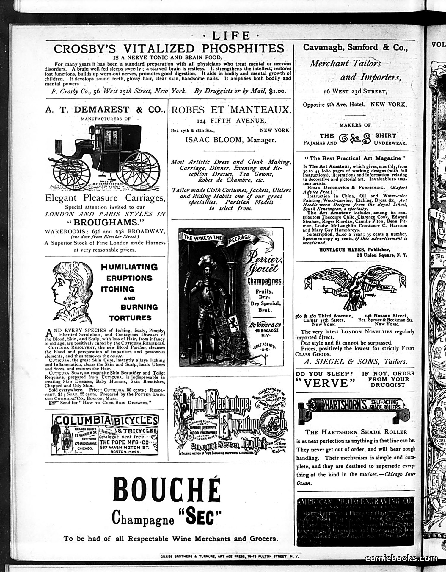 Life — February 26, 1885 — page 16 of 16