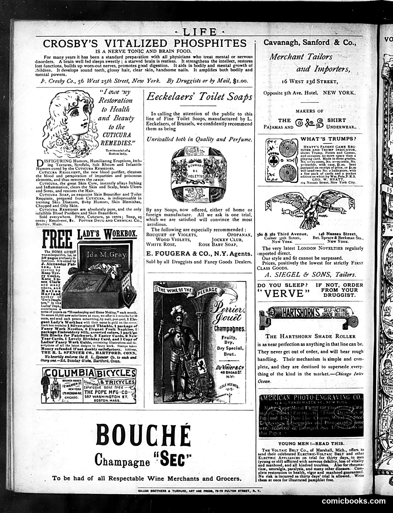 Life — March 12, 1885 — page 16 of 16