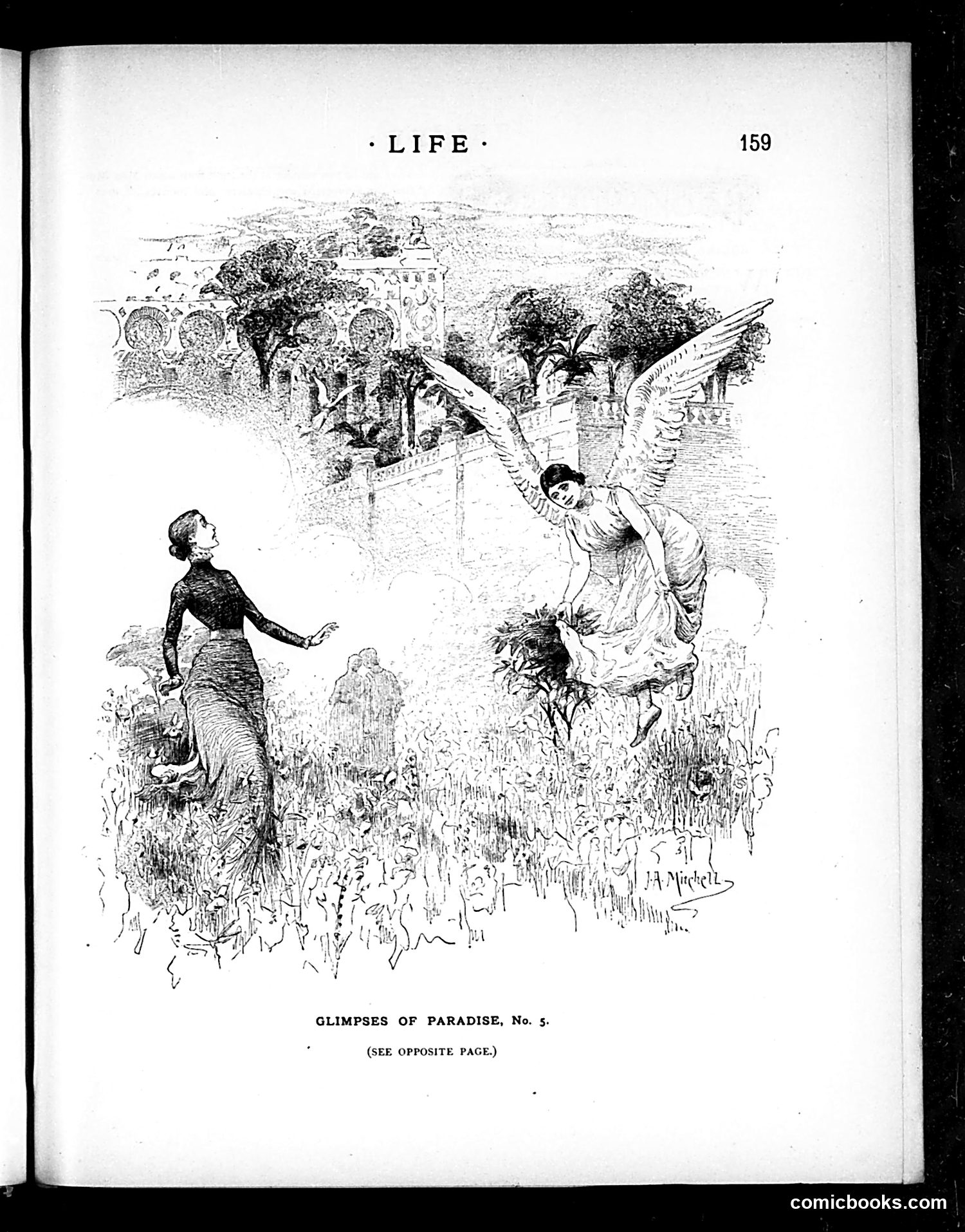 Life — March 19, 1885 — page 5 of 16