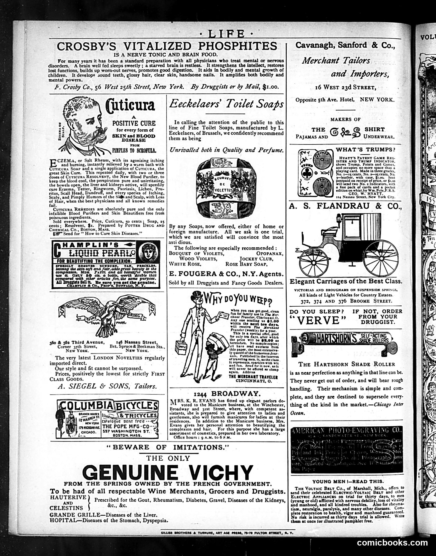 Life — March 19, 1885 — page 16 of 16