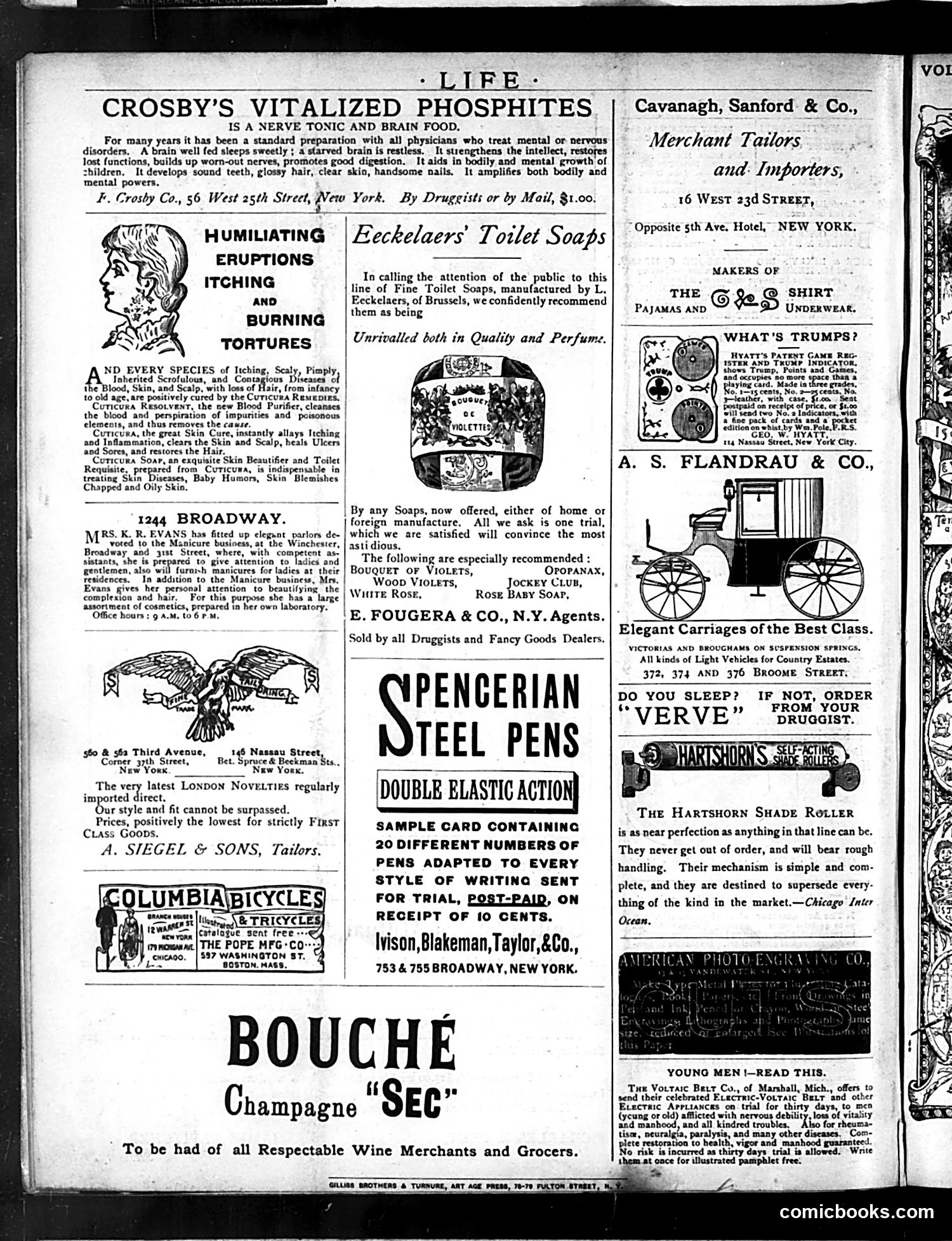 Life — March 26, 1885 — page 16 of 16