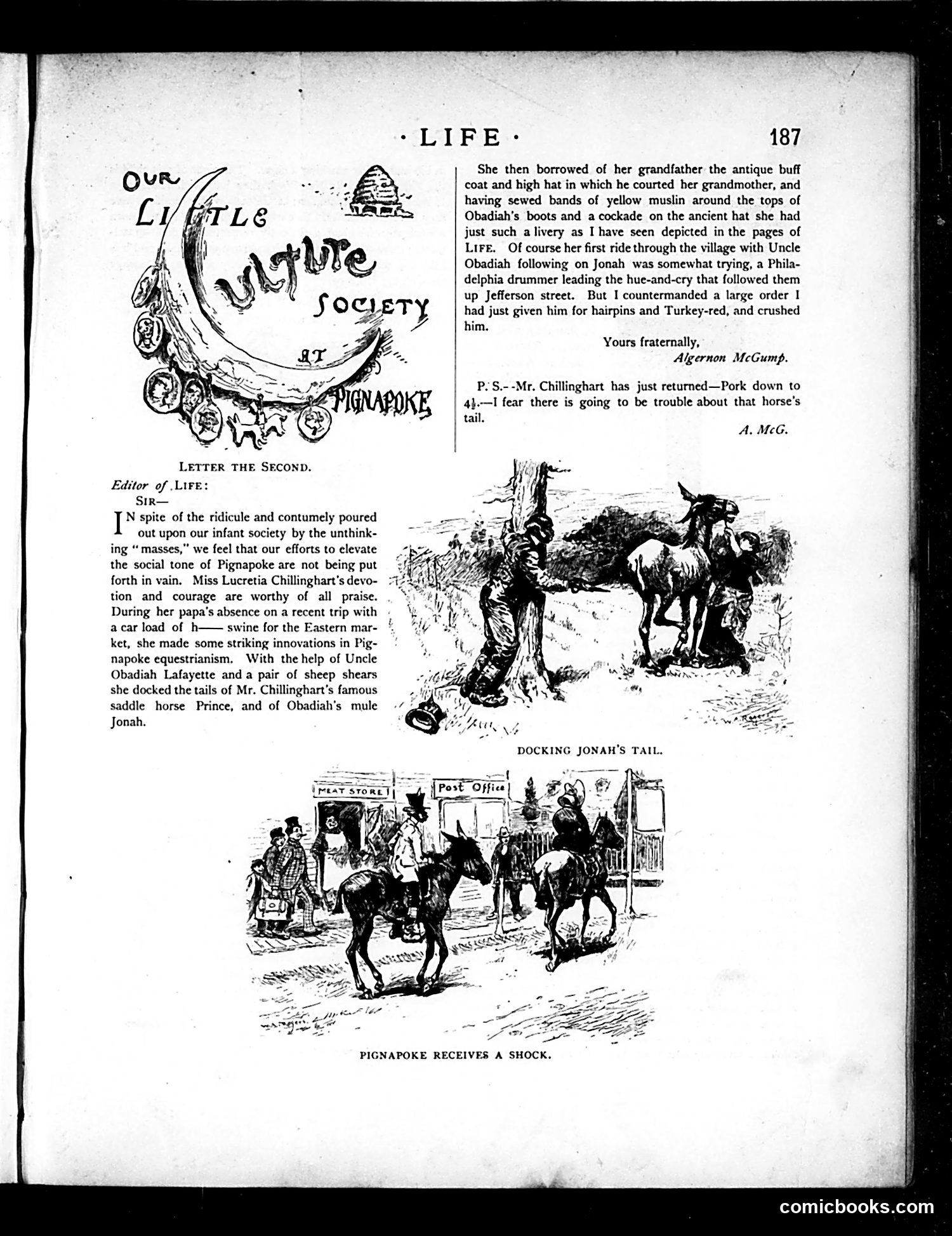 Life — April 2, 1885 — page 5 of 16