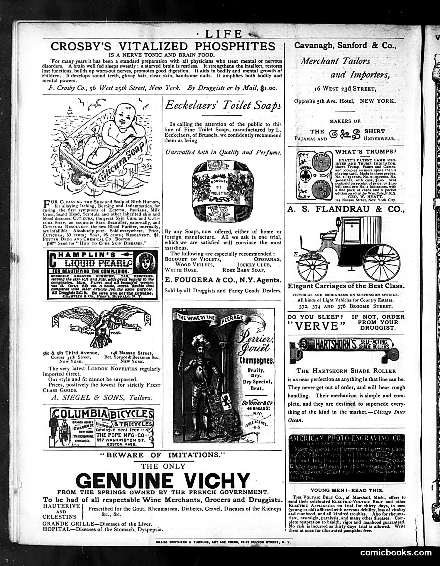 Life — April 2, 1885 — page 16 of 16