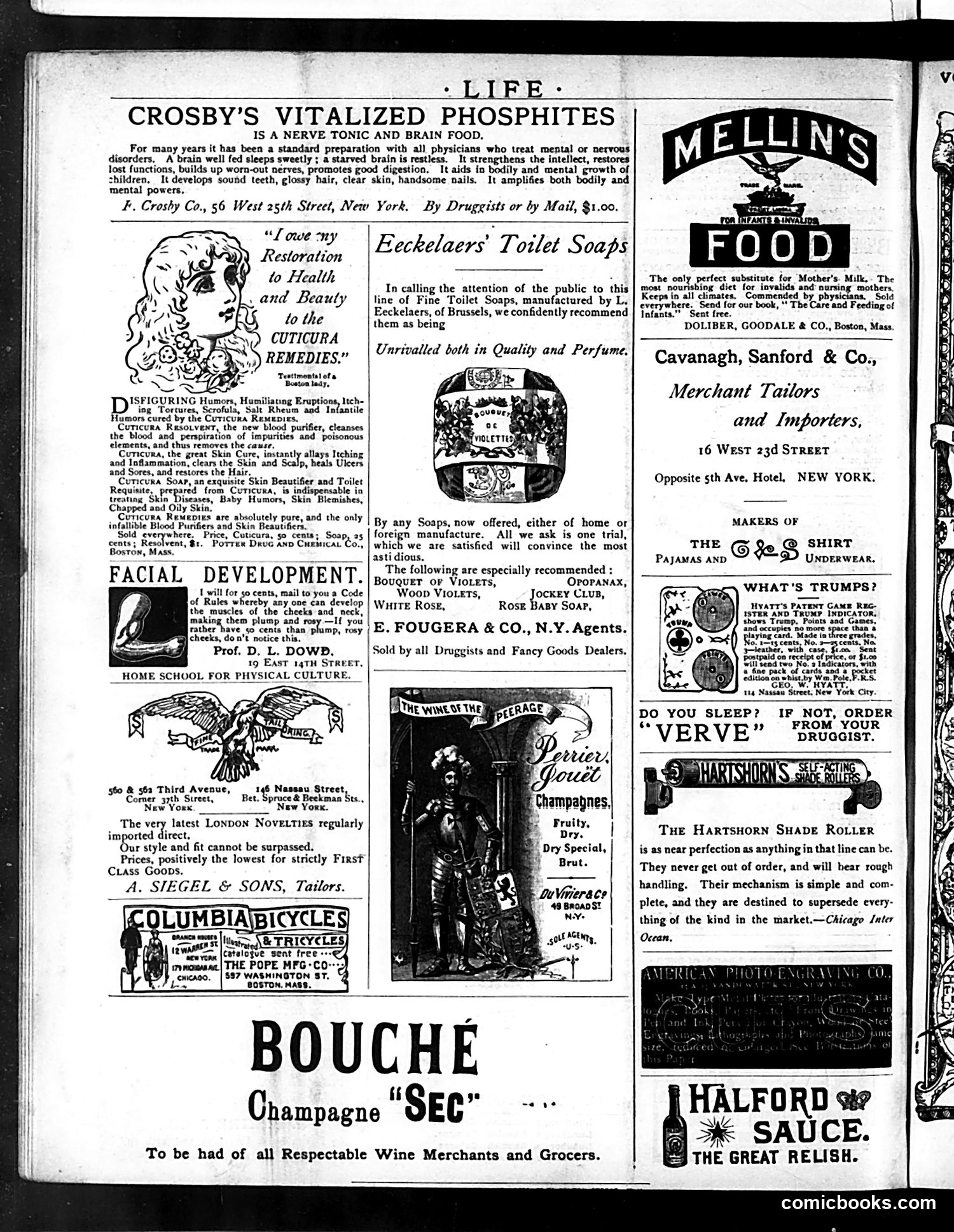 Life — April 9, 1885 — page 16 of 16