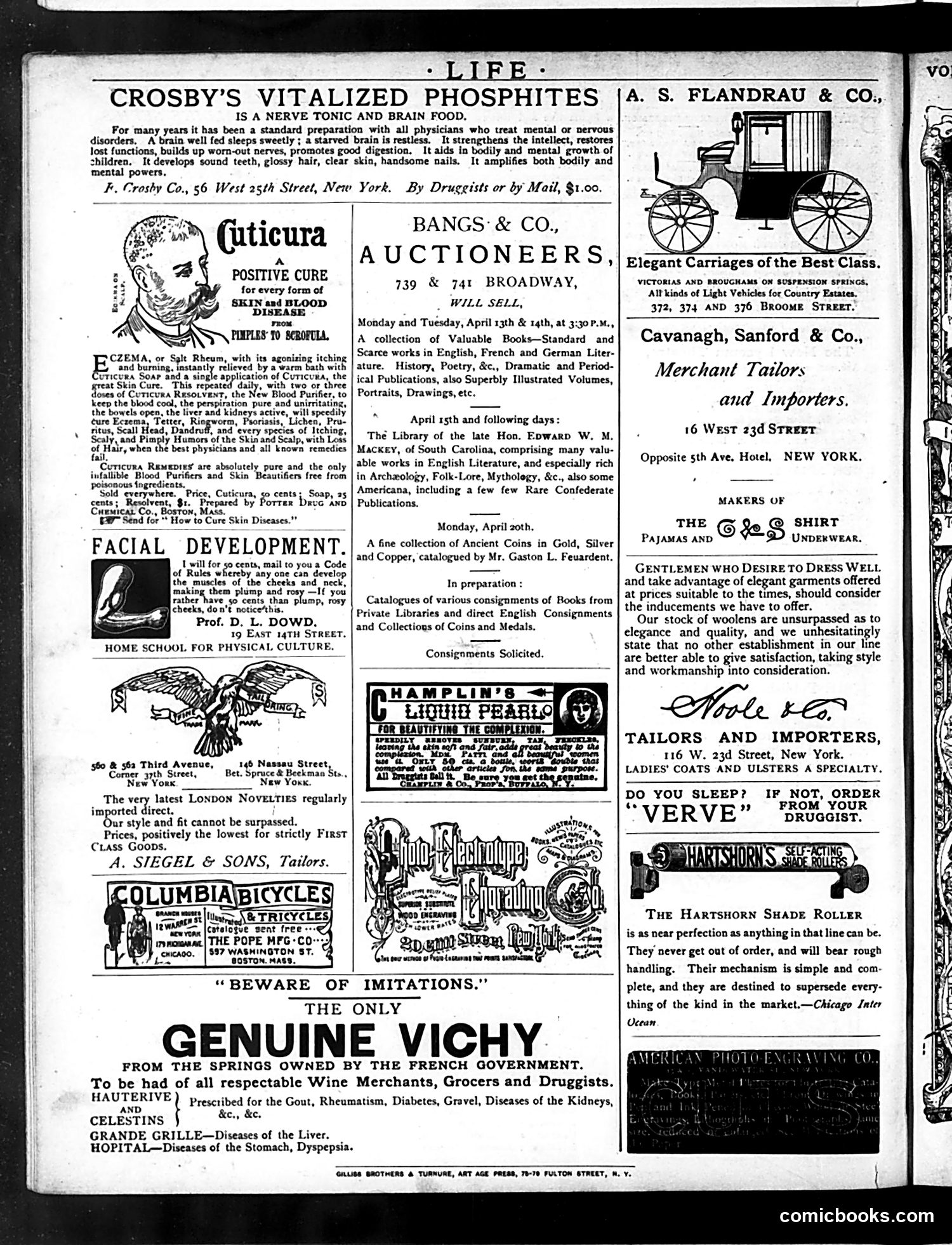 Life — April 16, 1885 — page 16 of 16