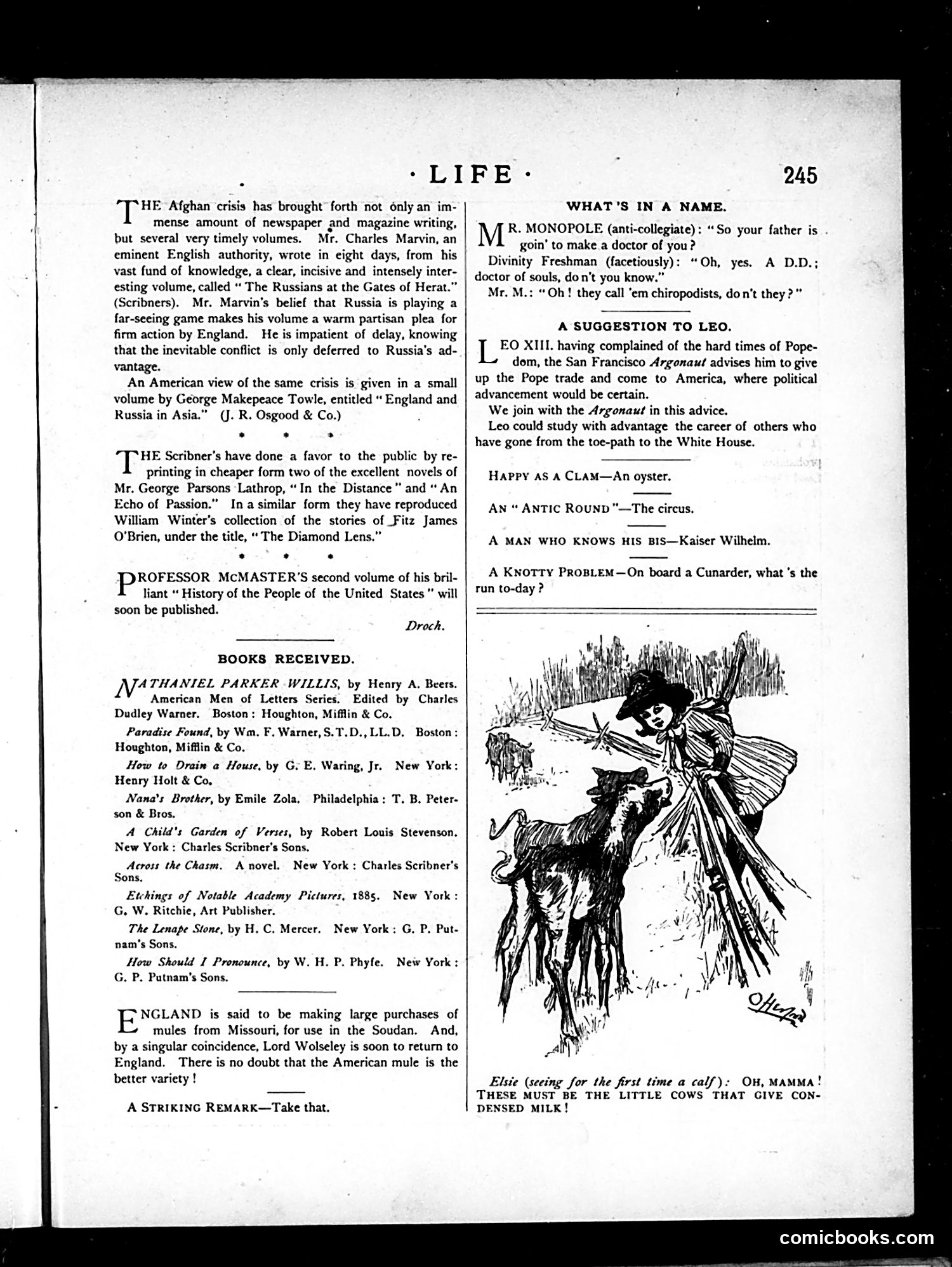 Life — April 30, 1885 — page 7 of 16