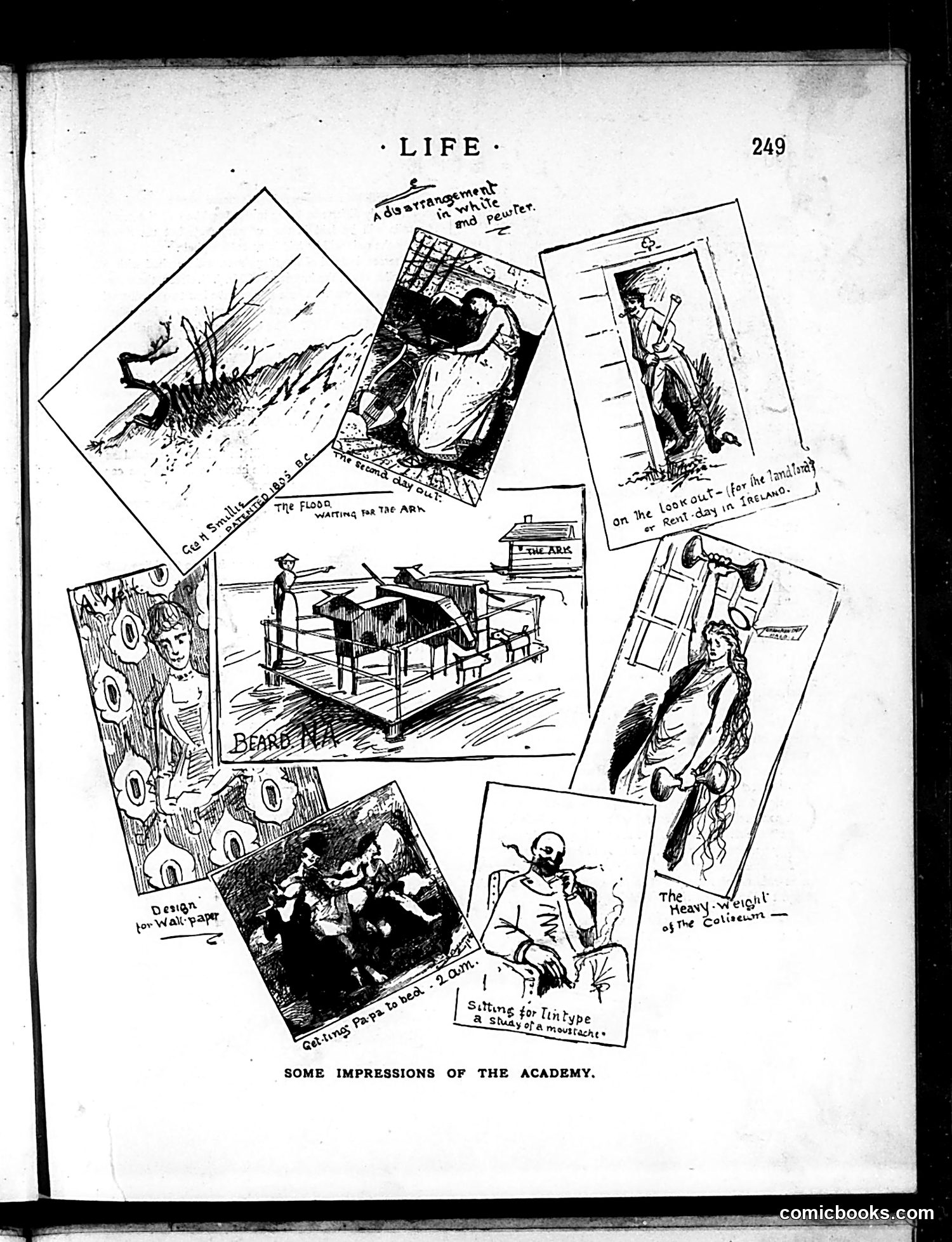 Life — April 30, 1885 — page 11 of 16